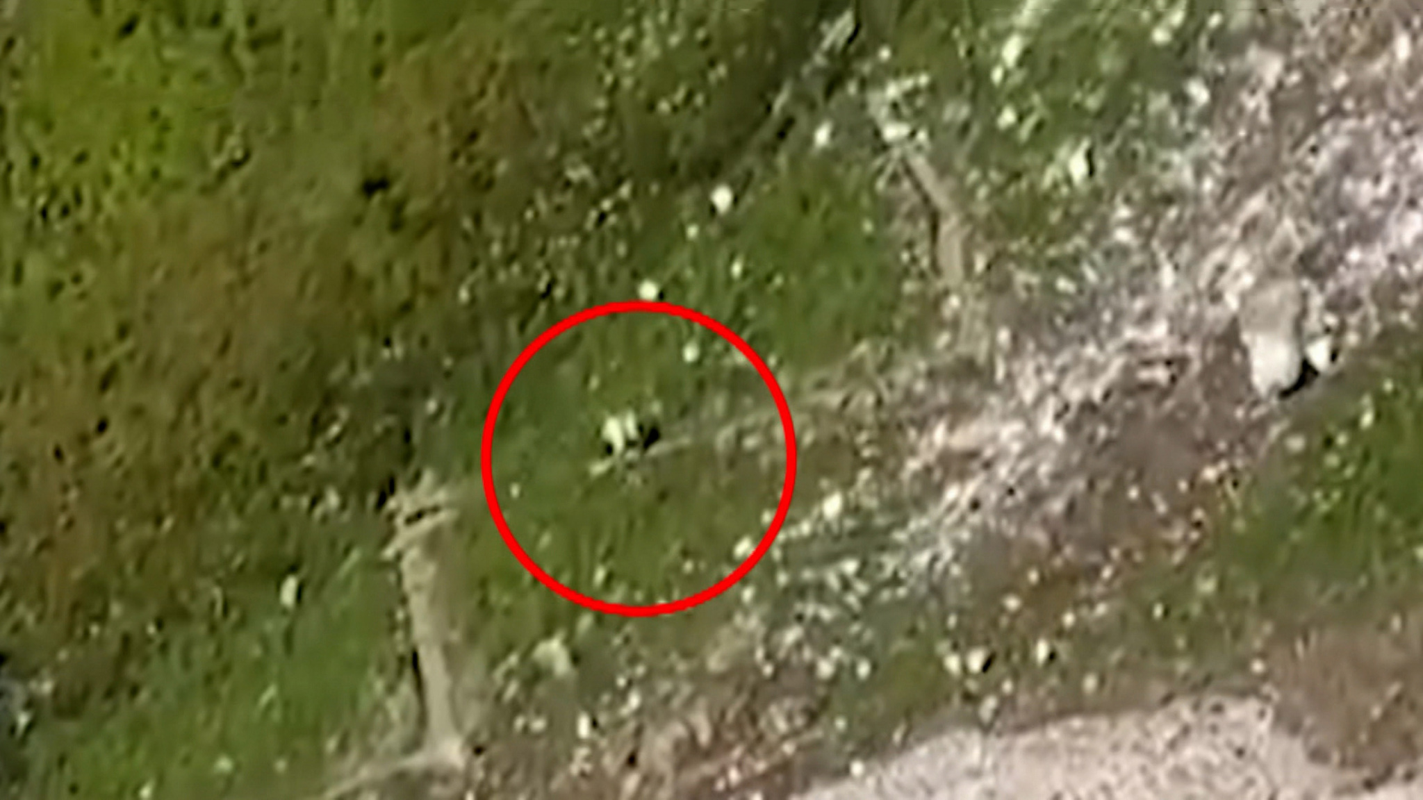 В Сочи двух женщин засыпало лавиной, одна из них погибла