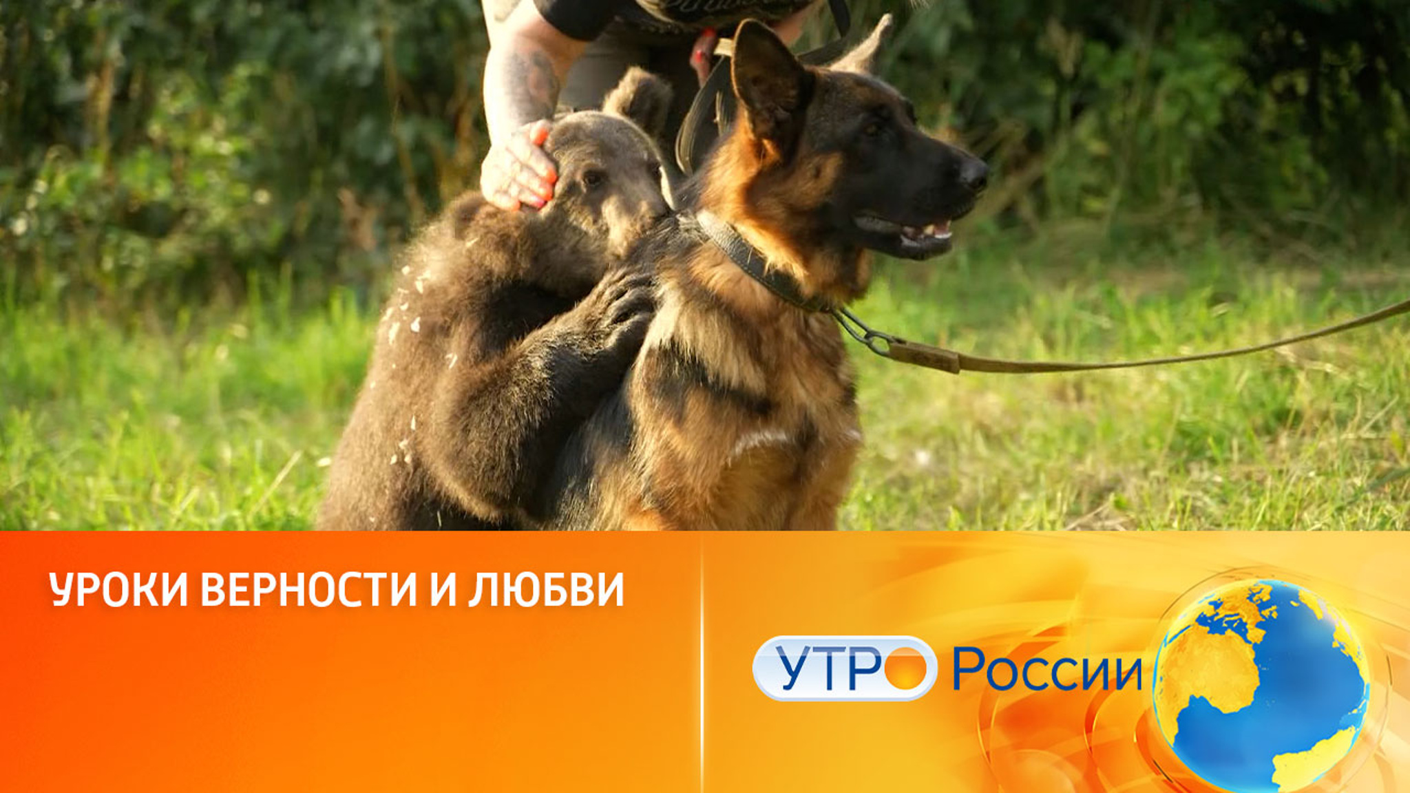 Вышел тизер-трейлер фильма "Пальма 2"