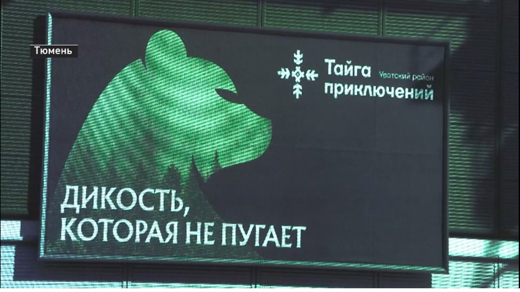 Новые территориальные бренды презентовали в Тюменской области