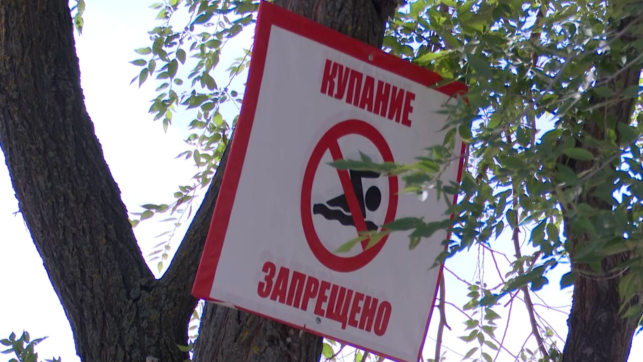 В реках Ульяновска завелись паразиты