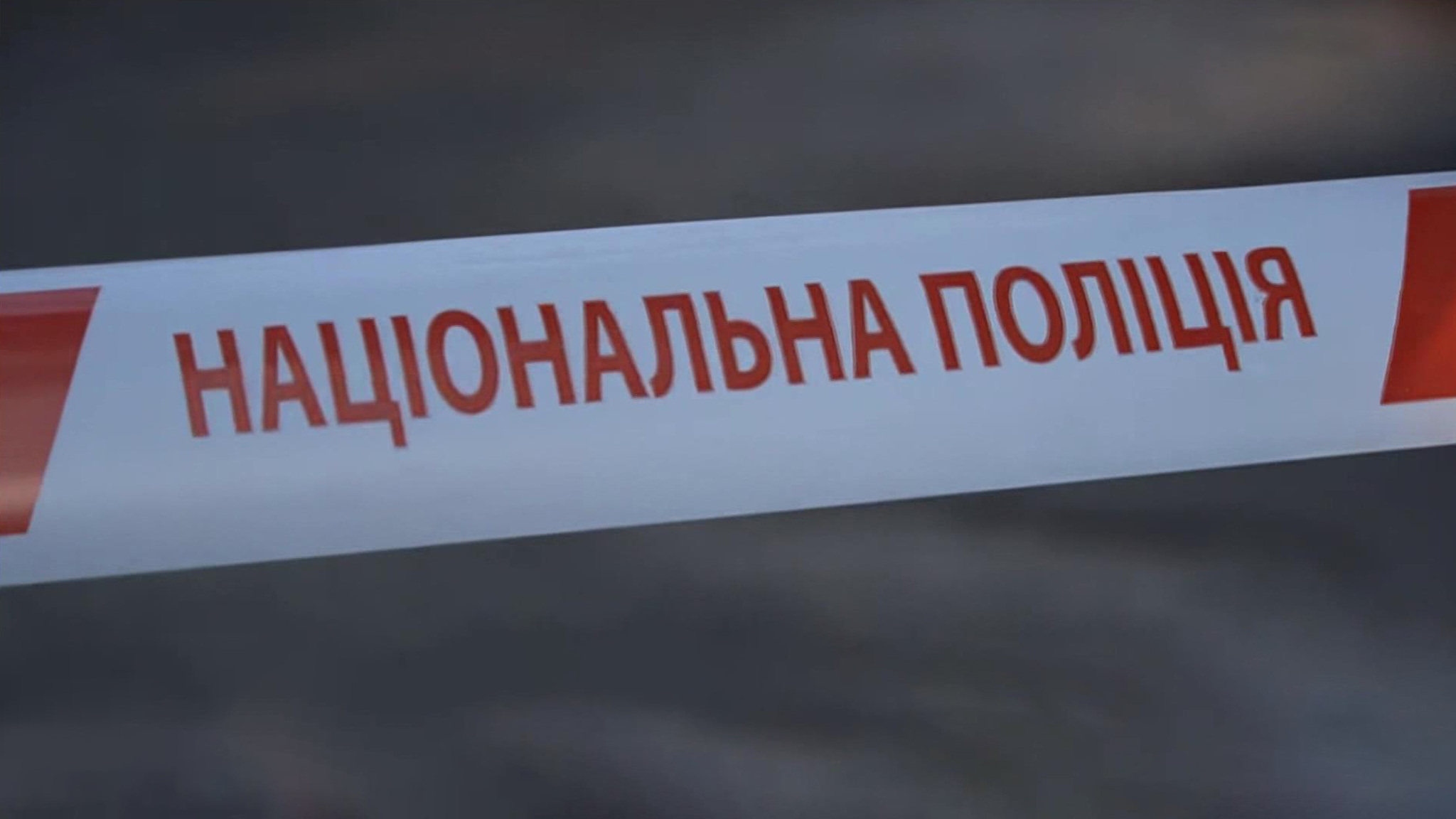 У украинской полиции две основных версии убийства Ирины Фарион