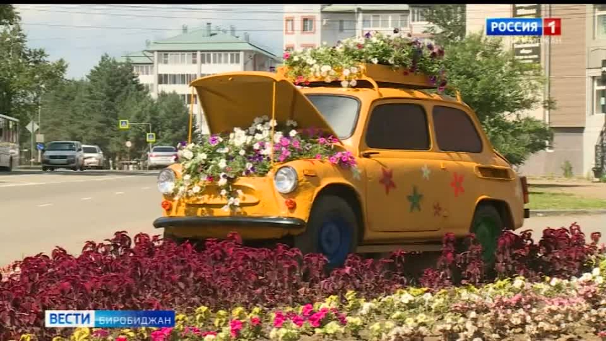 Старый автомобиль в Биробиджане превратили в цветочный оазис