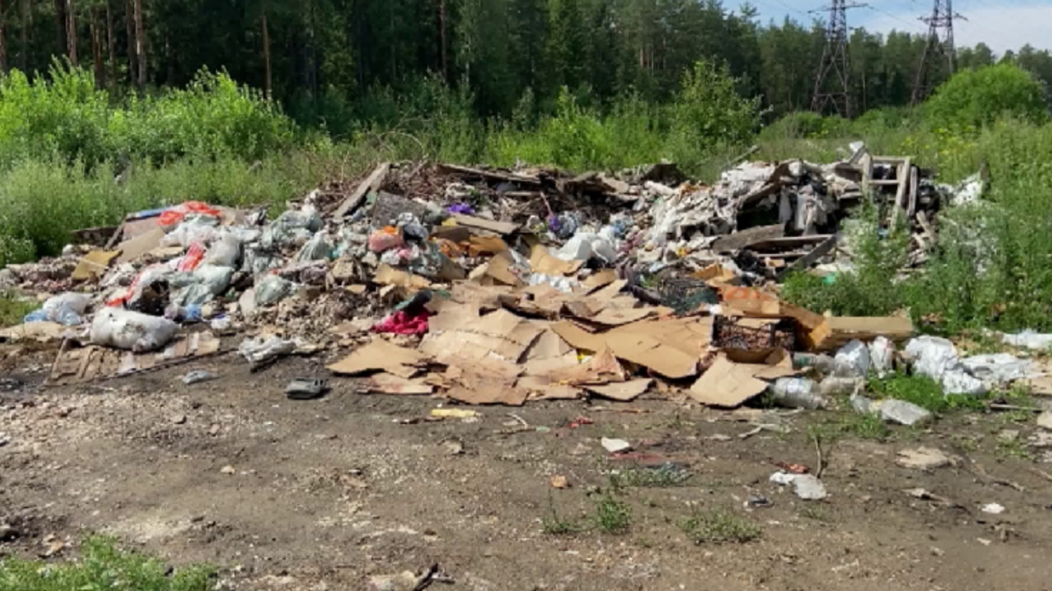 Жители Нижнего Тагила обнаружили нелегальный скотомогильник