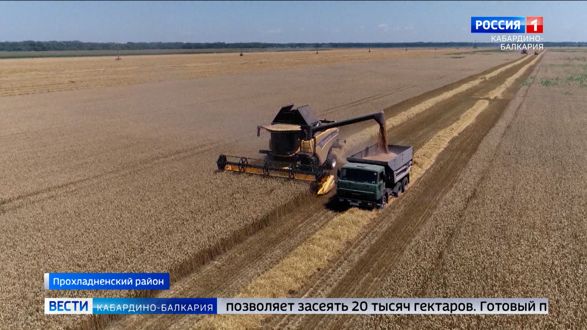 Аграрии КБР производят семена краснодарской селекции