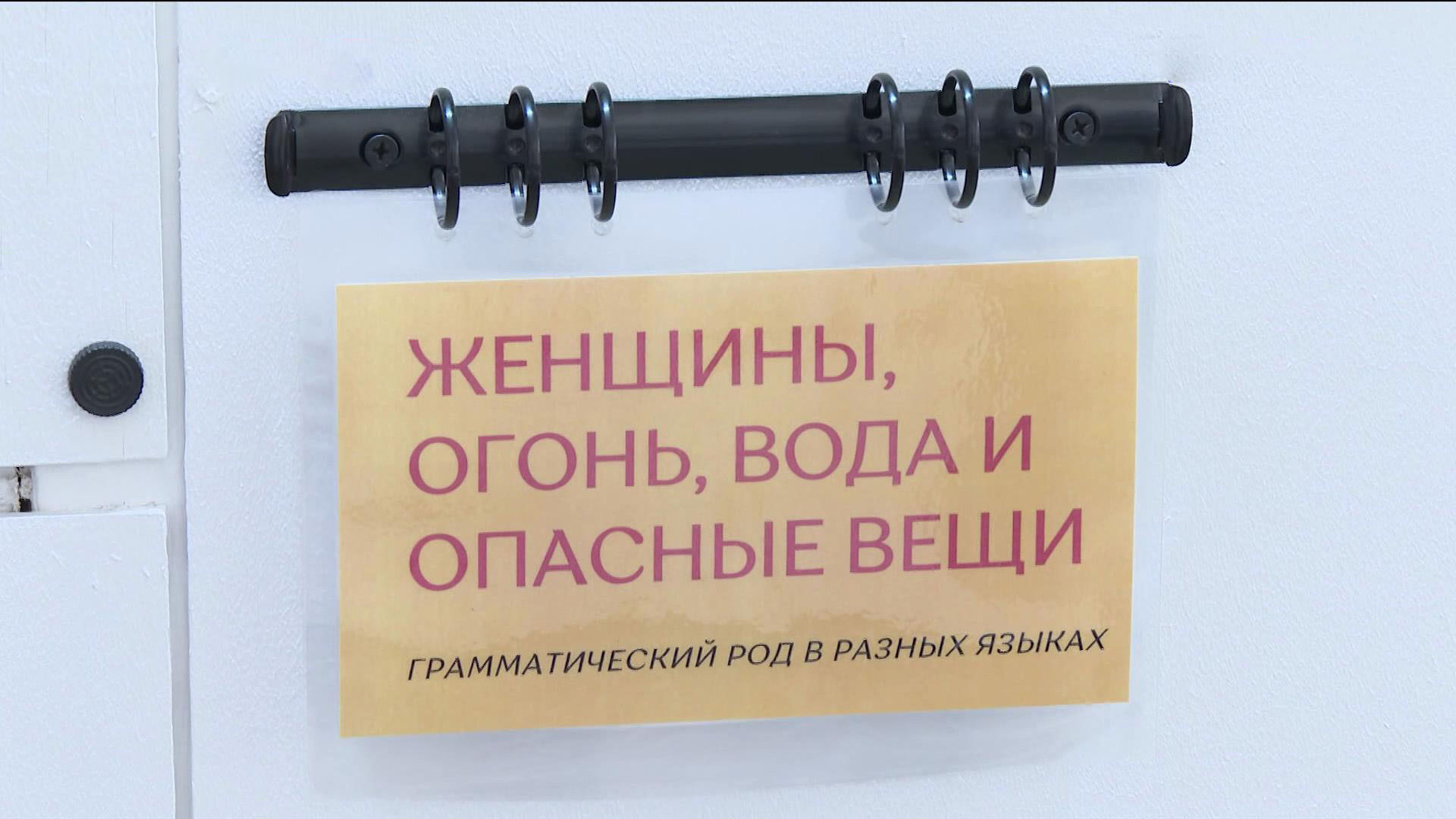 Музей языков в Крыму пополнился редкими артефактами народов мира