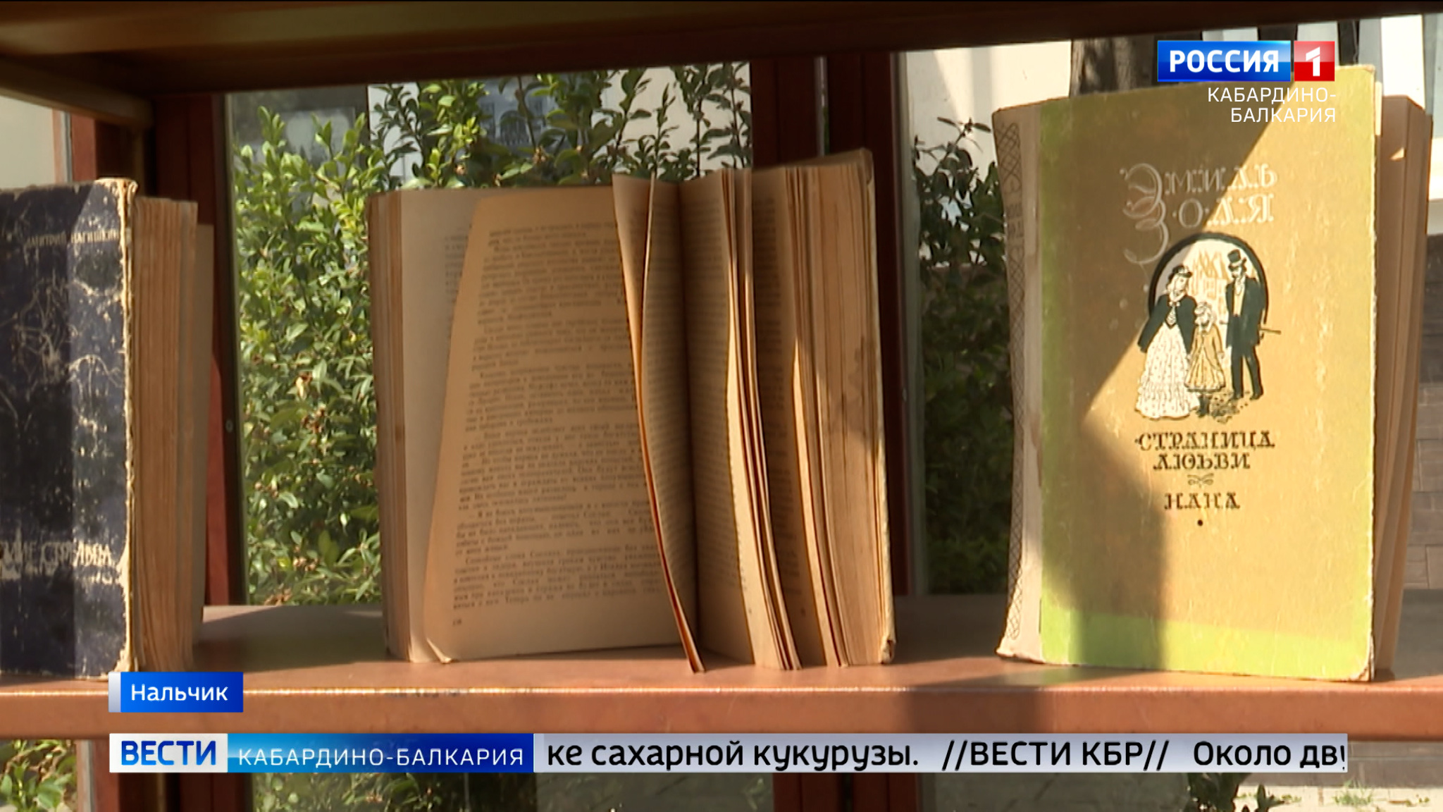 31 июля отмечают Международный день вспоминания любимых книг