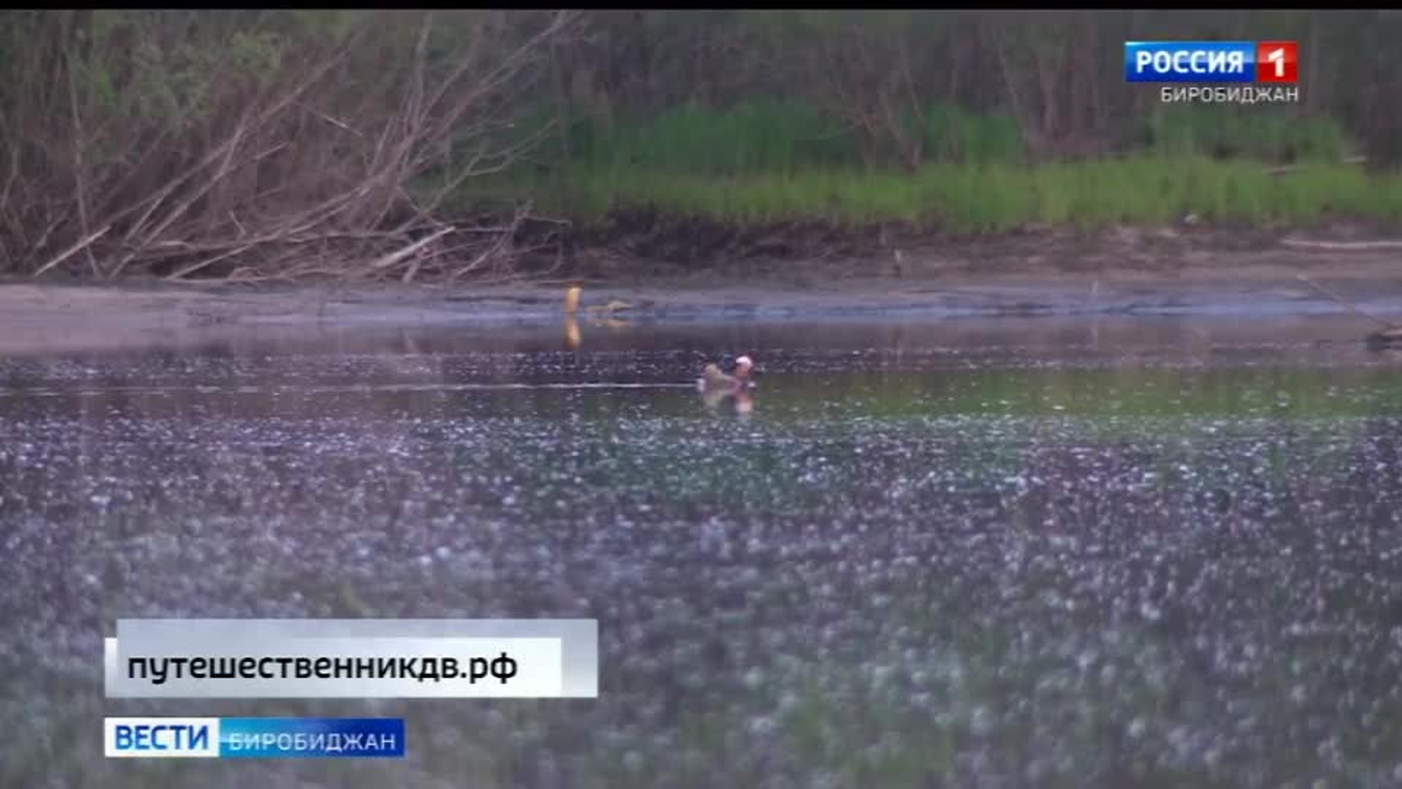 На конкурс "Дальний Восток – земля приключений" два видеоролика представили жители ЕАО