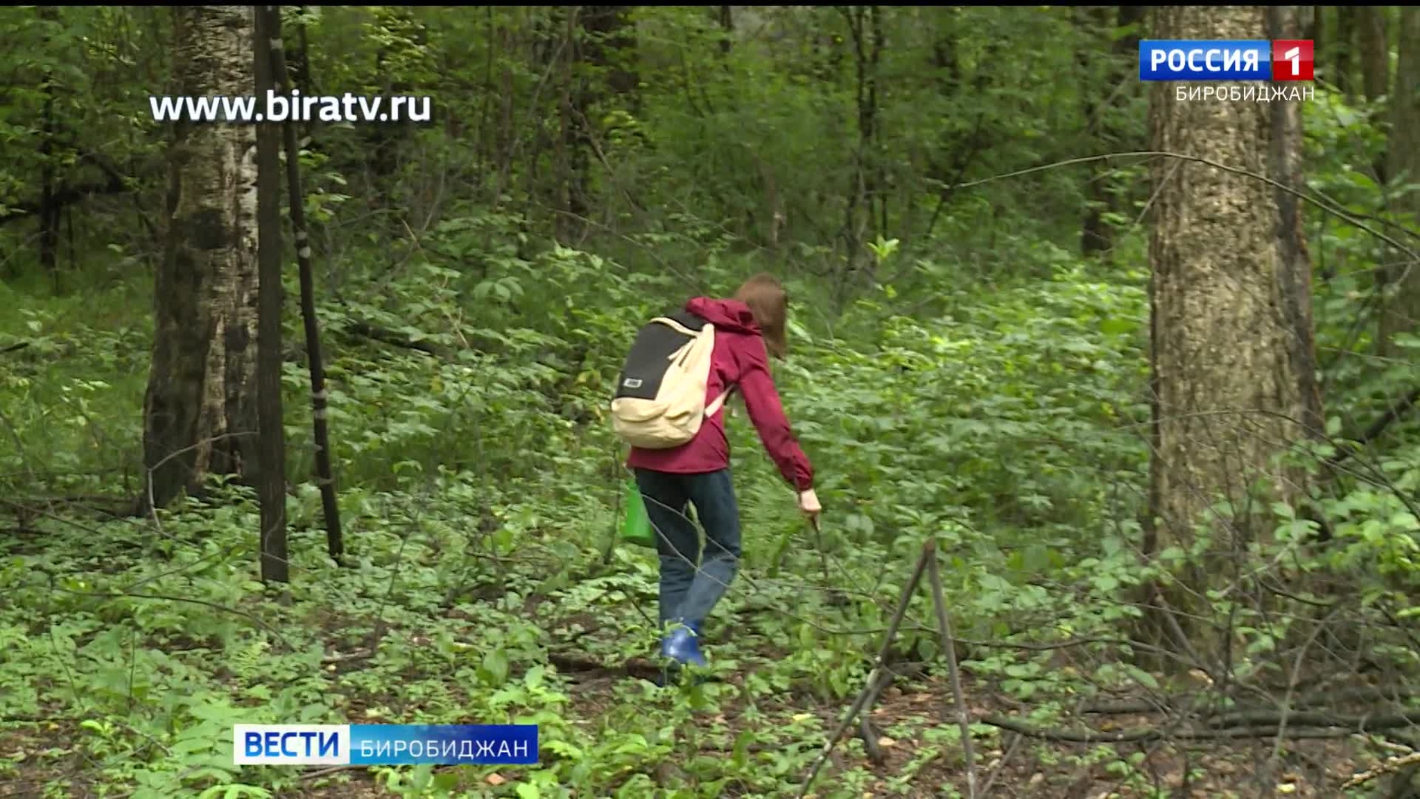 Сегодня в эфире "Радио России Биробиджан" (6 августа)