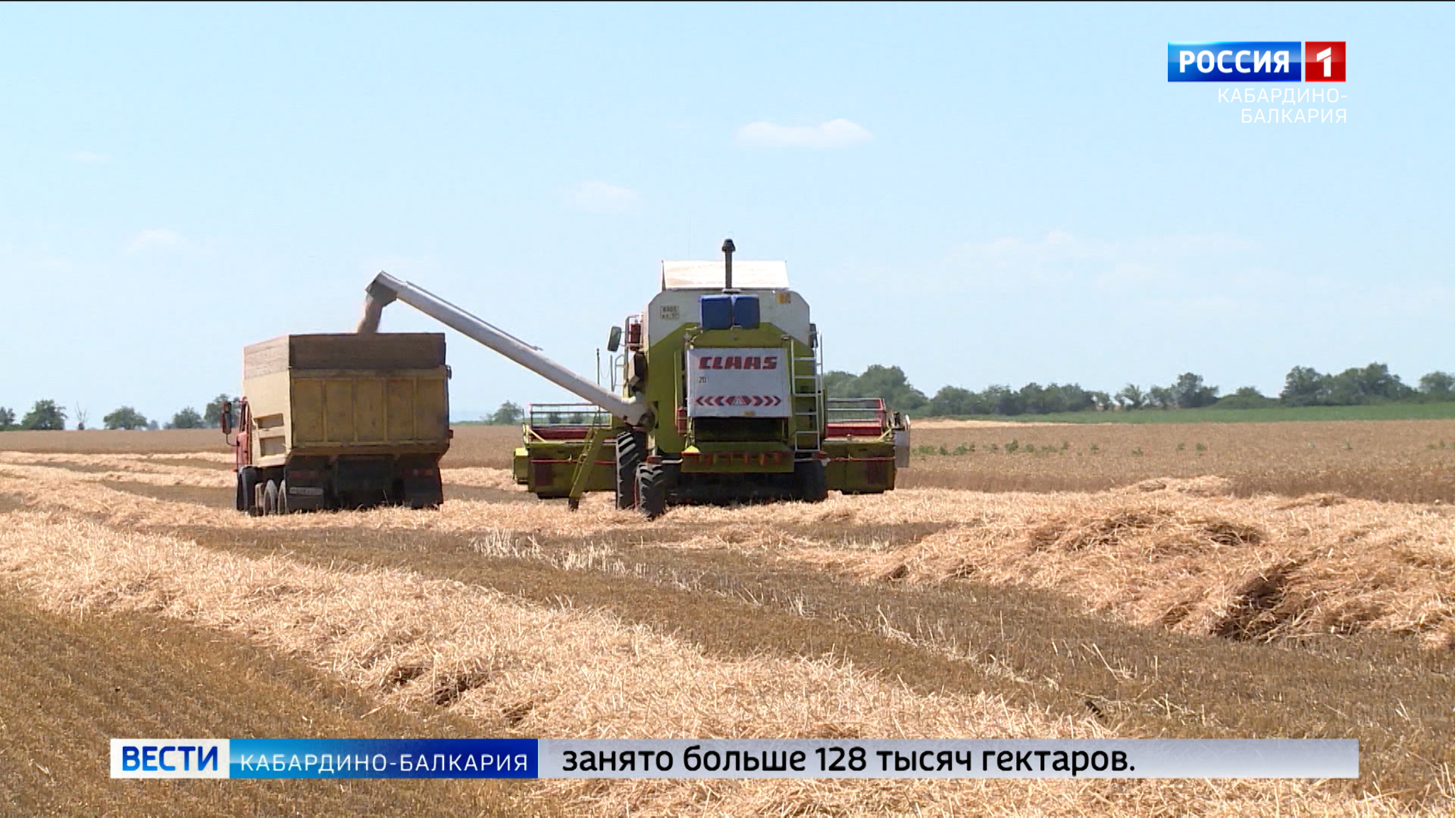 В КБР завершили уборку зерновых