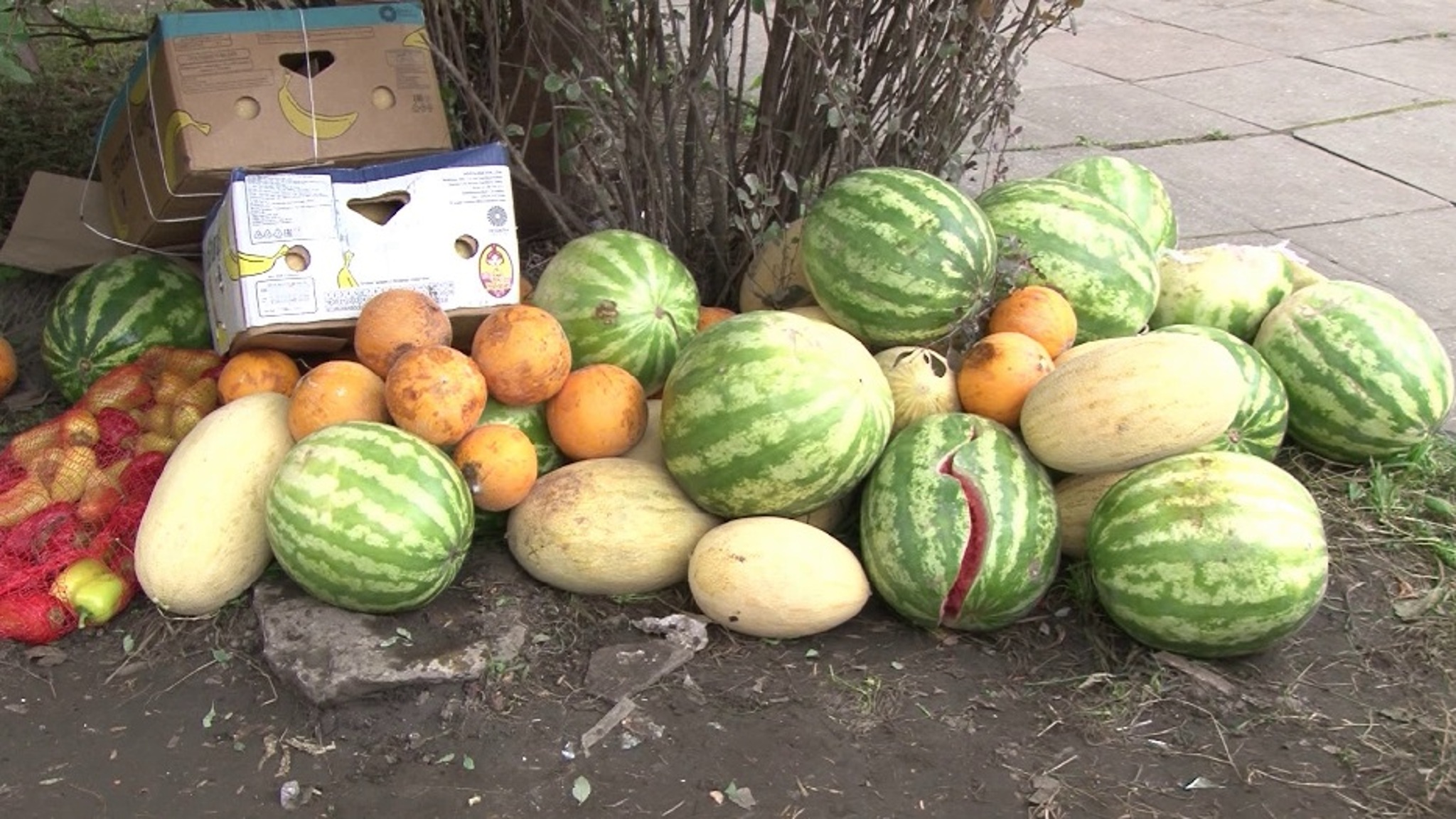 В Екатеринбурге у нелегальных торговцев фруктами изъяли всю продукцию, которой они торговали прямо на улице