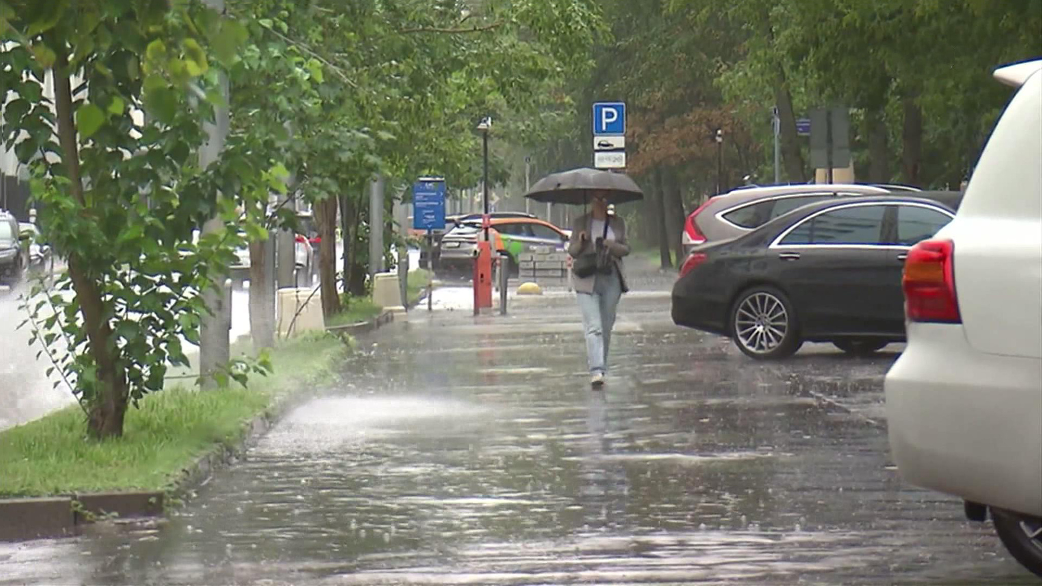 Дождливый август предвещает сухую золотую осень