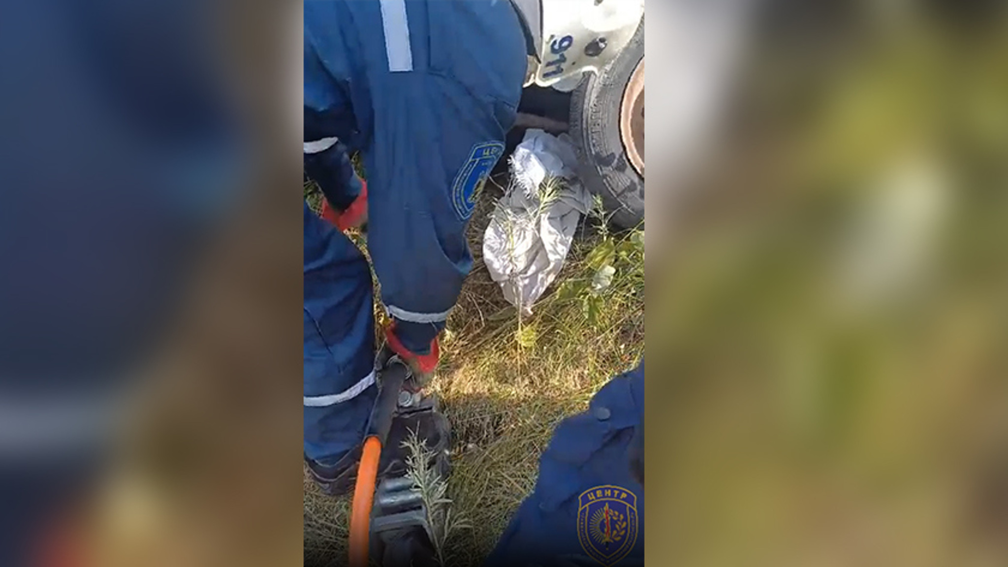 Двух четвероногих выручили из беды амурские спасатели во время дежурства