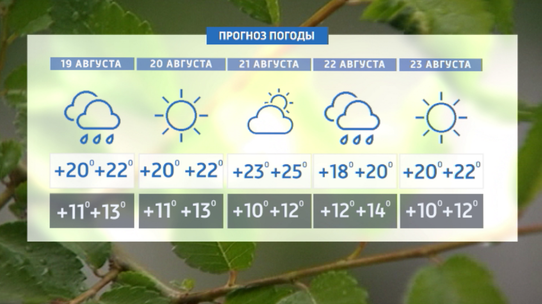 Жара отступает: выходные выдались для красноярцев непривычно прохладными