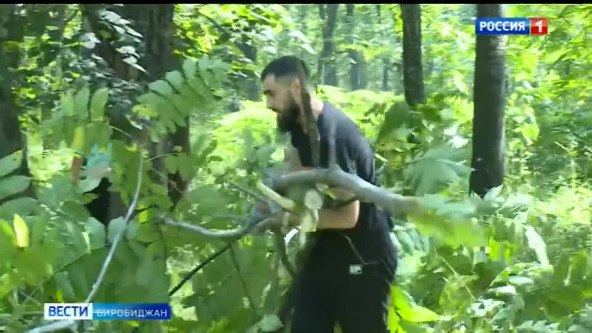 Дружно принялись за работу.