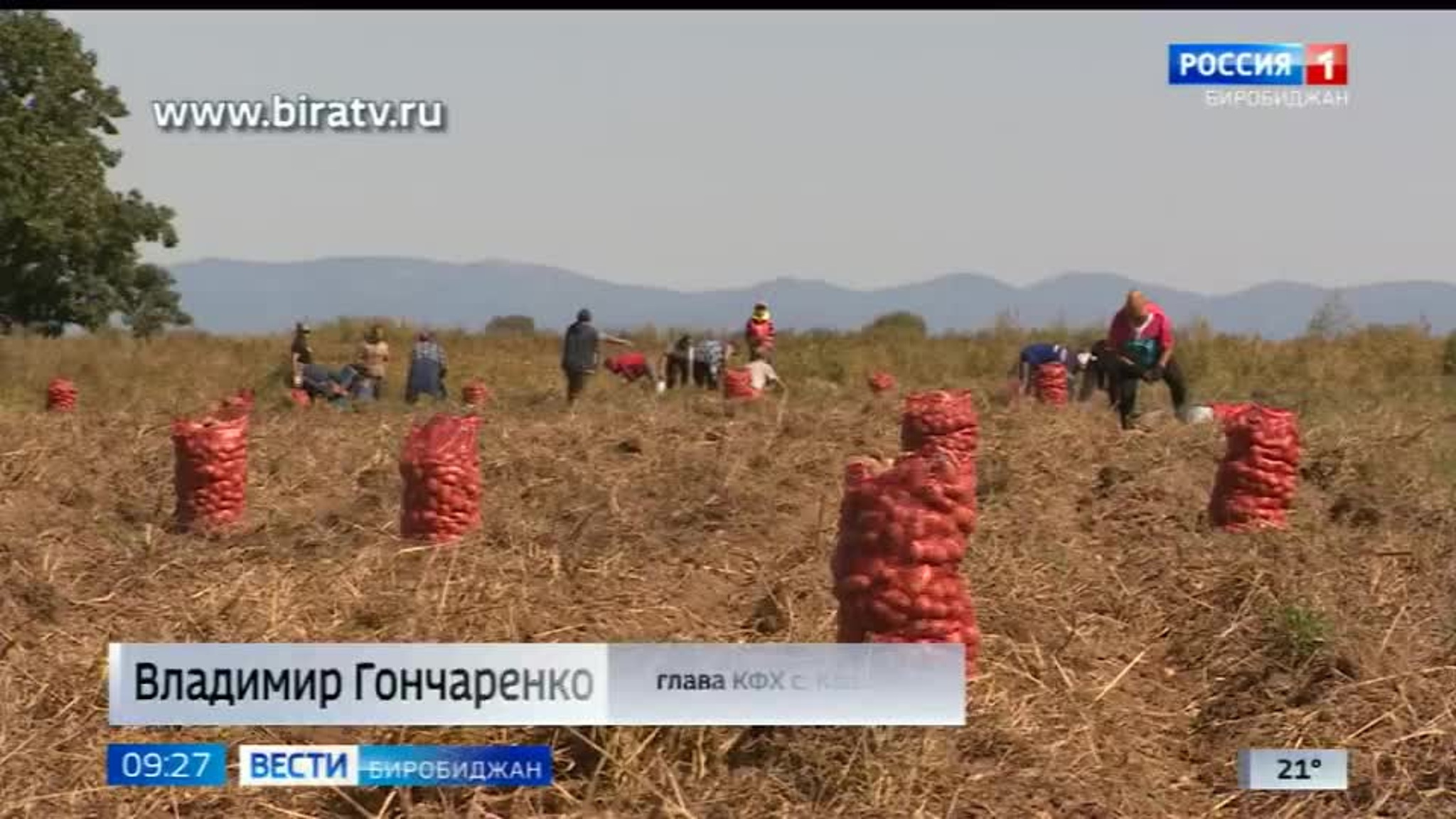 Сегодня в эфире "Радио России Биробиджан" (22 Августа )