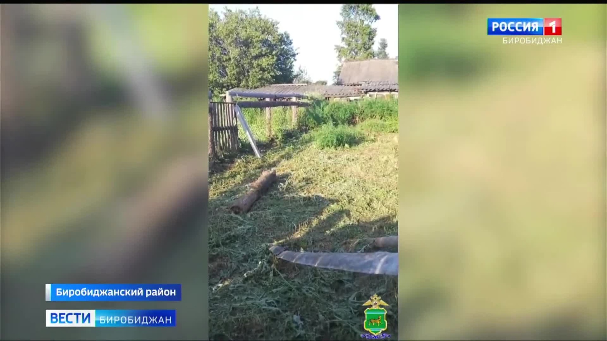 В ЕАО продолжается межведомственная операция "Мак"