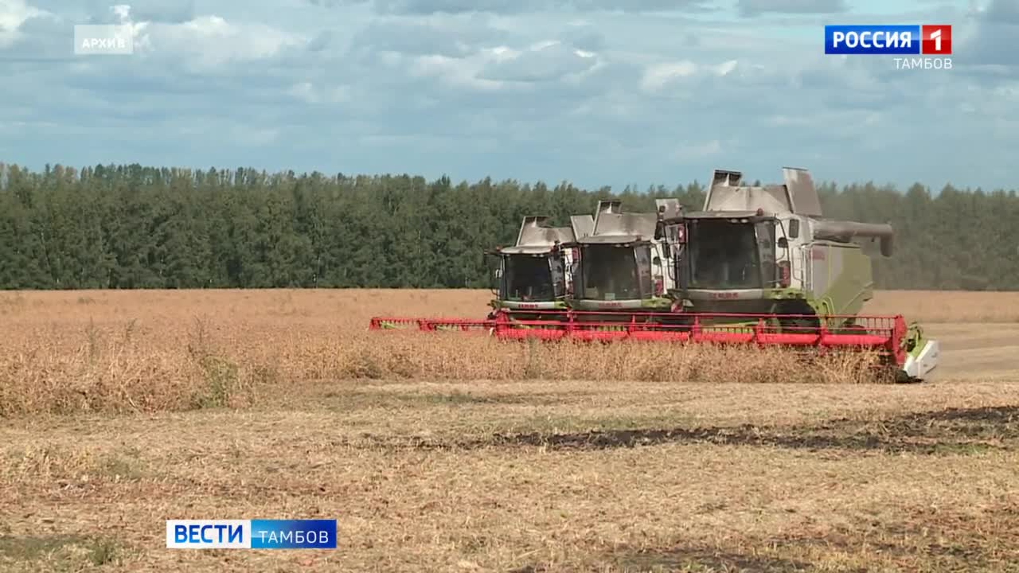 В Тамбовской области начали уборку сои