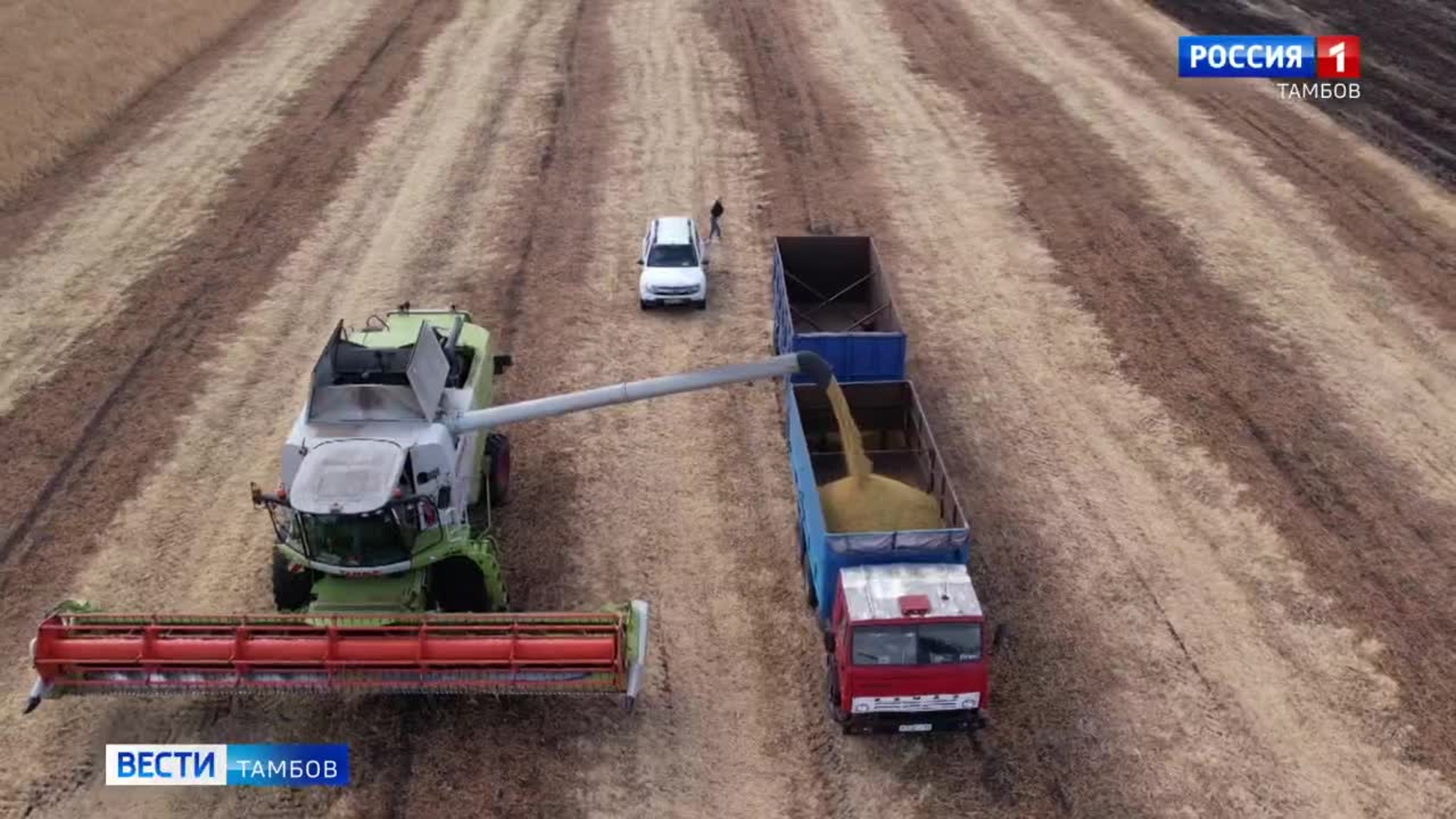 Новости коротко: бесплатный приём посылок, школьные автобусы и уборка сои