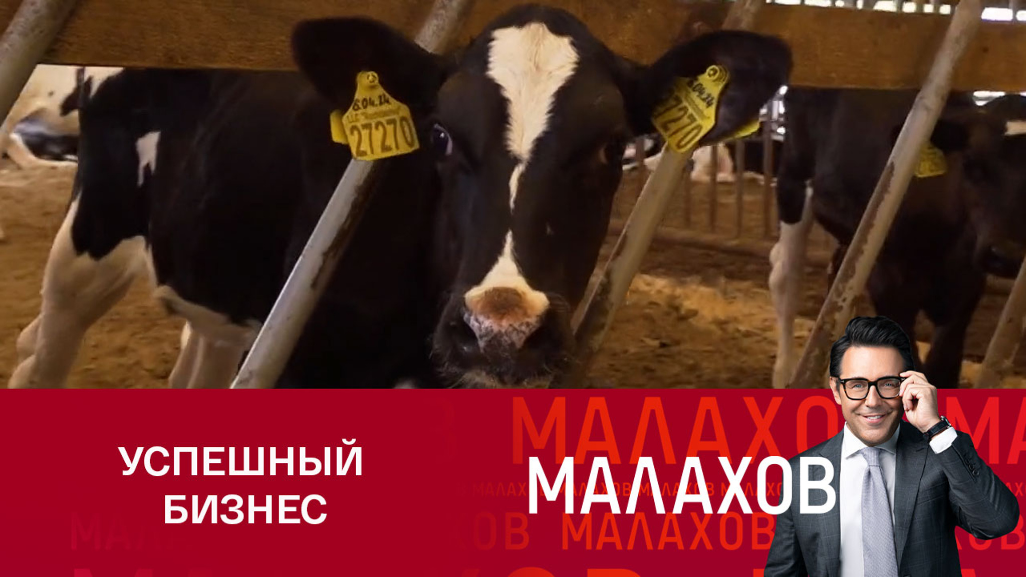 Британец Джон Кописки провел экскурсию по своему производству под Владимиром