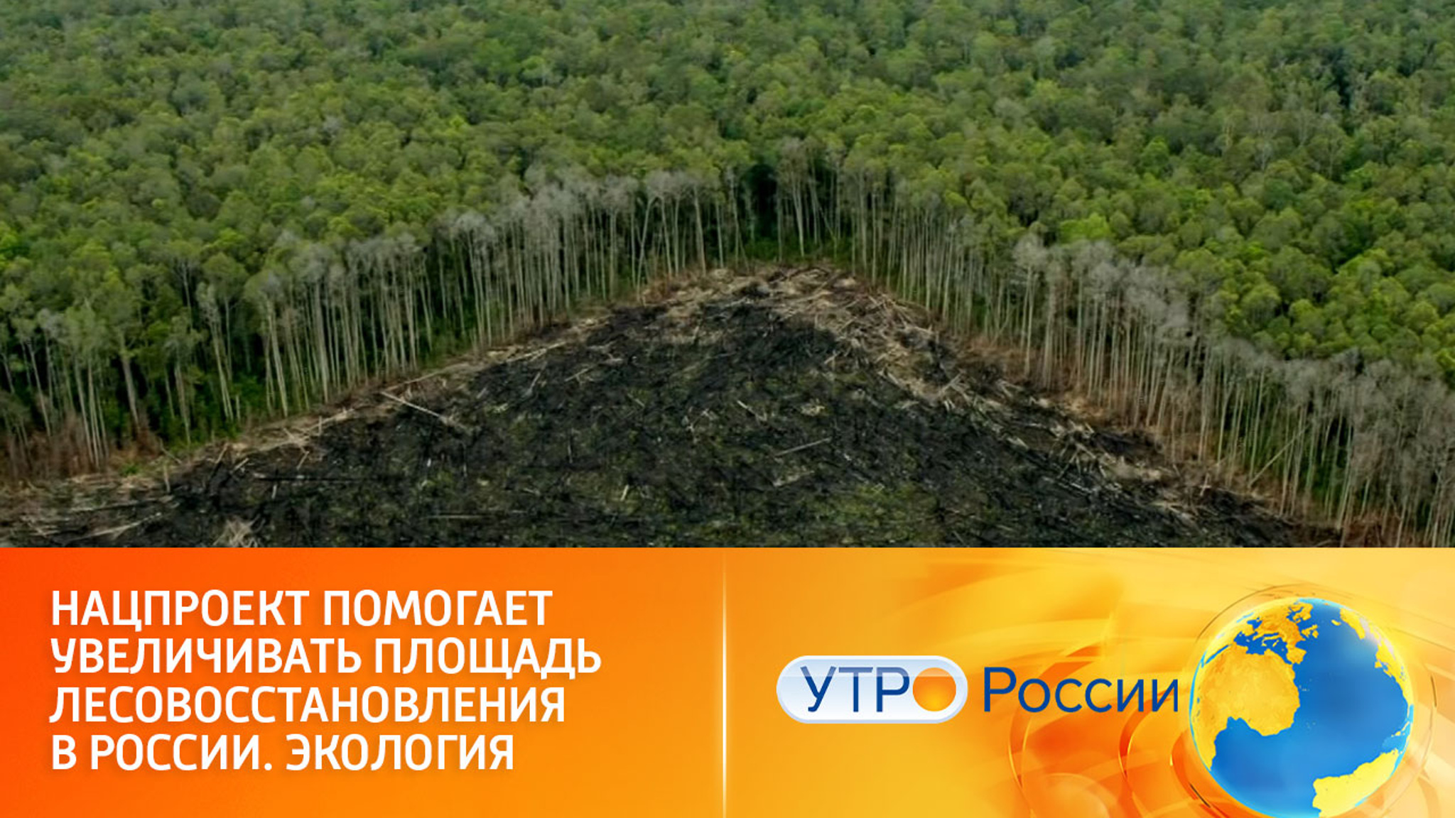 Формат акции "Сохраним лес" расширяется