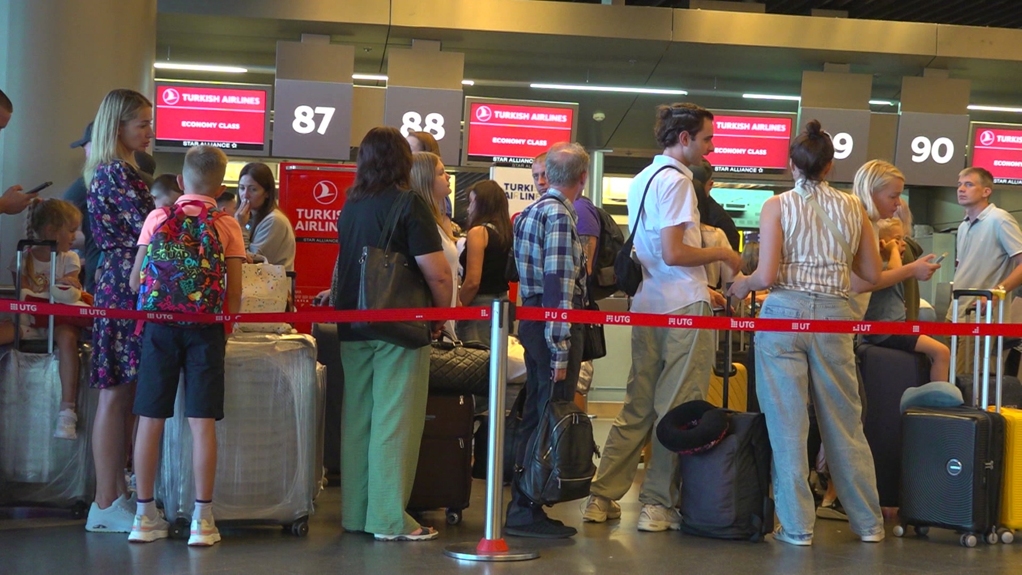 Во Внукове застряли больше сотни пассажиров Turkish Airlines