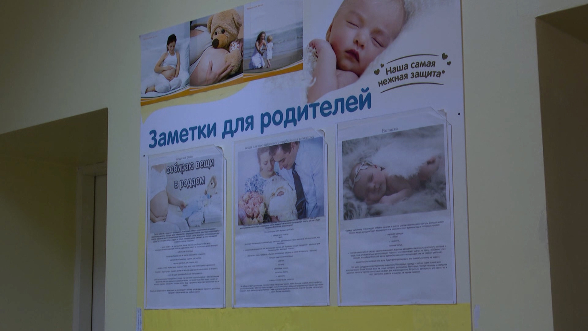 Могут обследоваться бесплатно