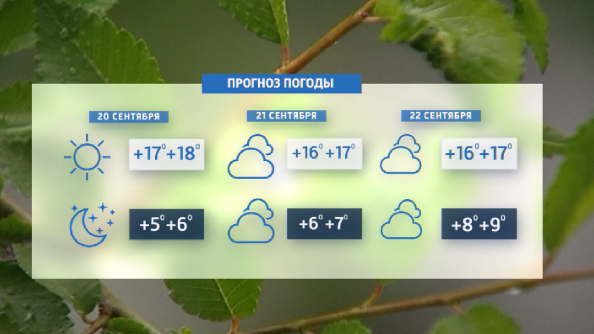 В Красноярск возвращается бабье лето