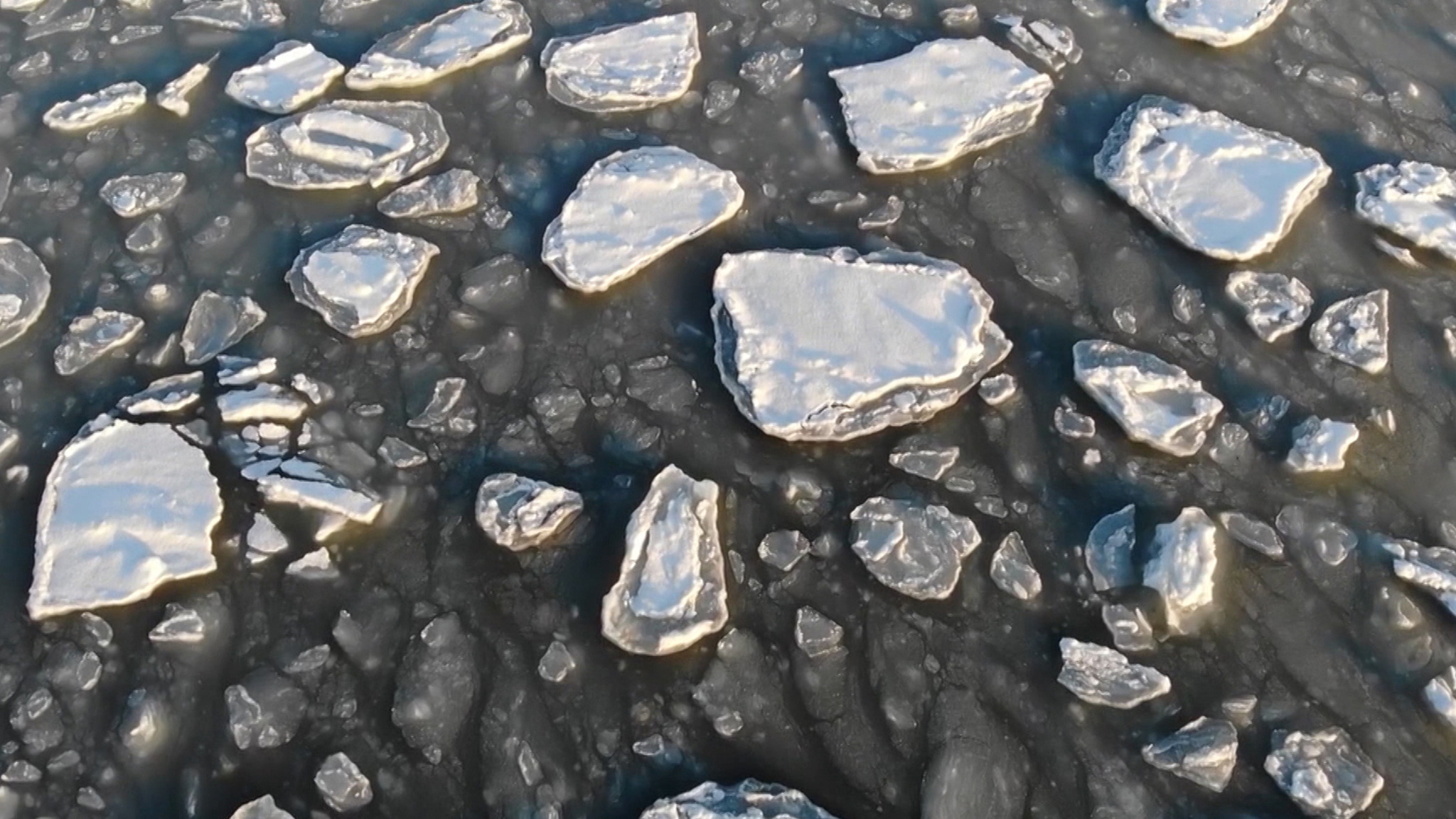 Ученые раскрыли тайну оазиса жизни в арктических водах
