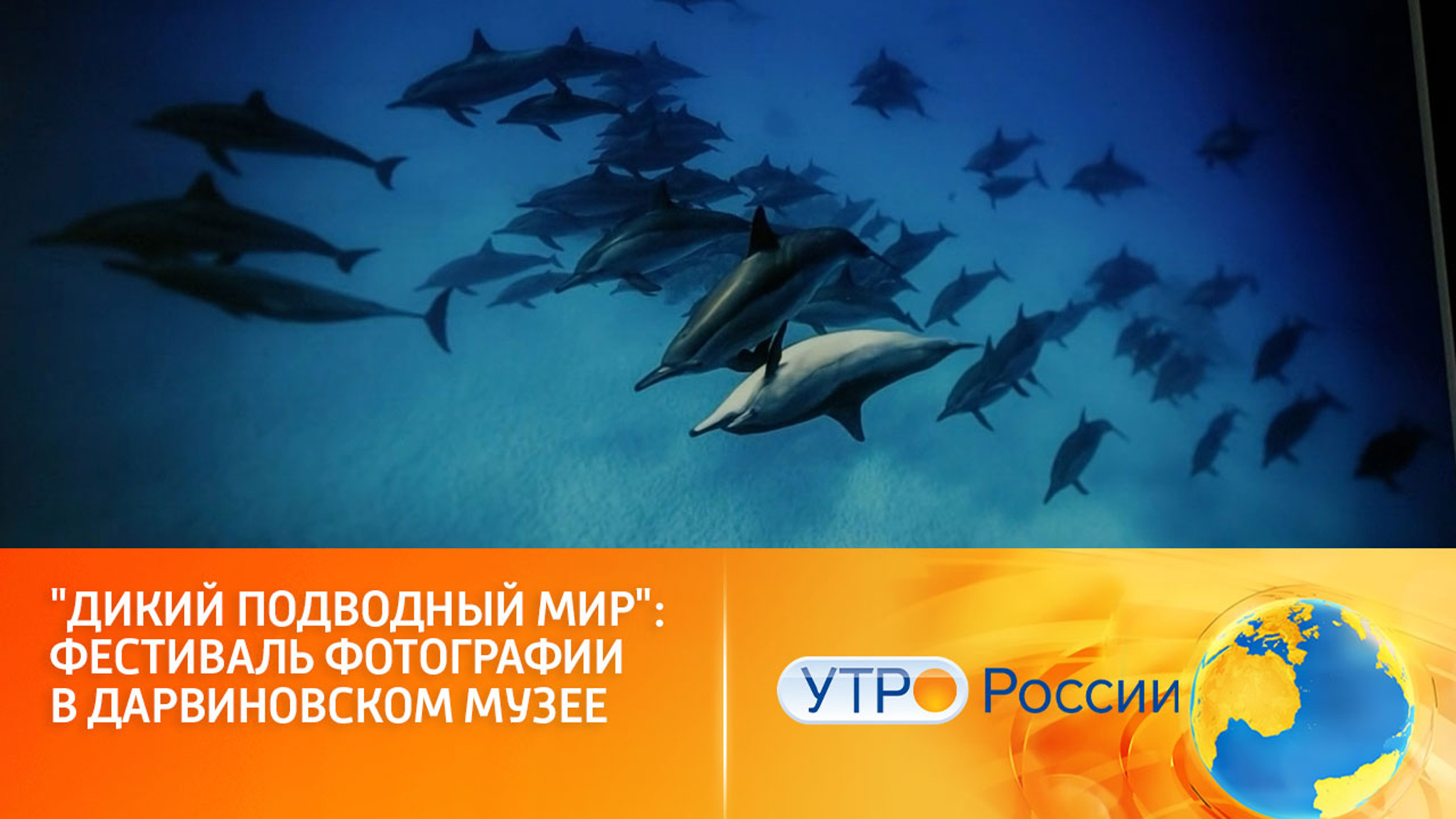 Что скрывают океаны, моря, реки и озера