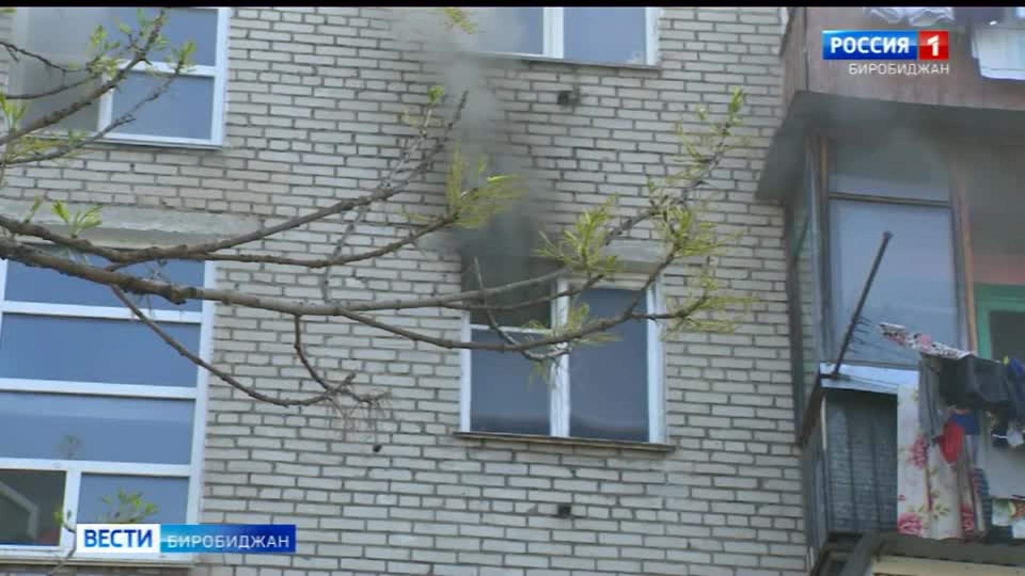 Более тысячи пожаров ликвидировано в ЕАО с начала года