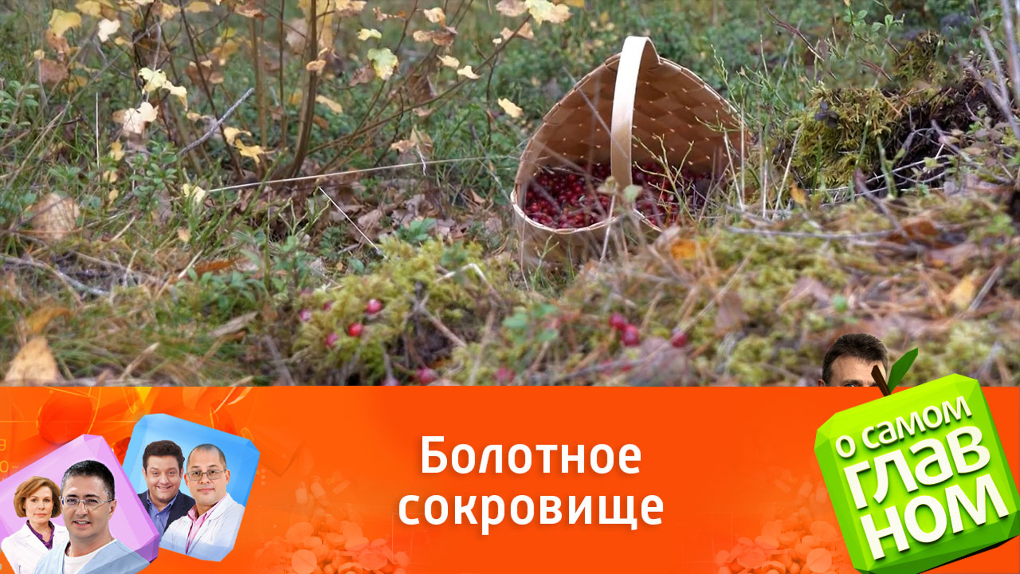 В каком виде употреблять клюкву, чтобы она приносила максимум пользы