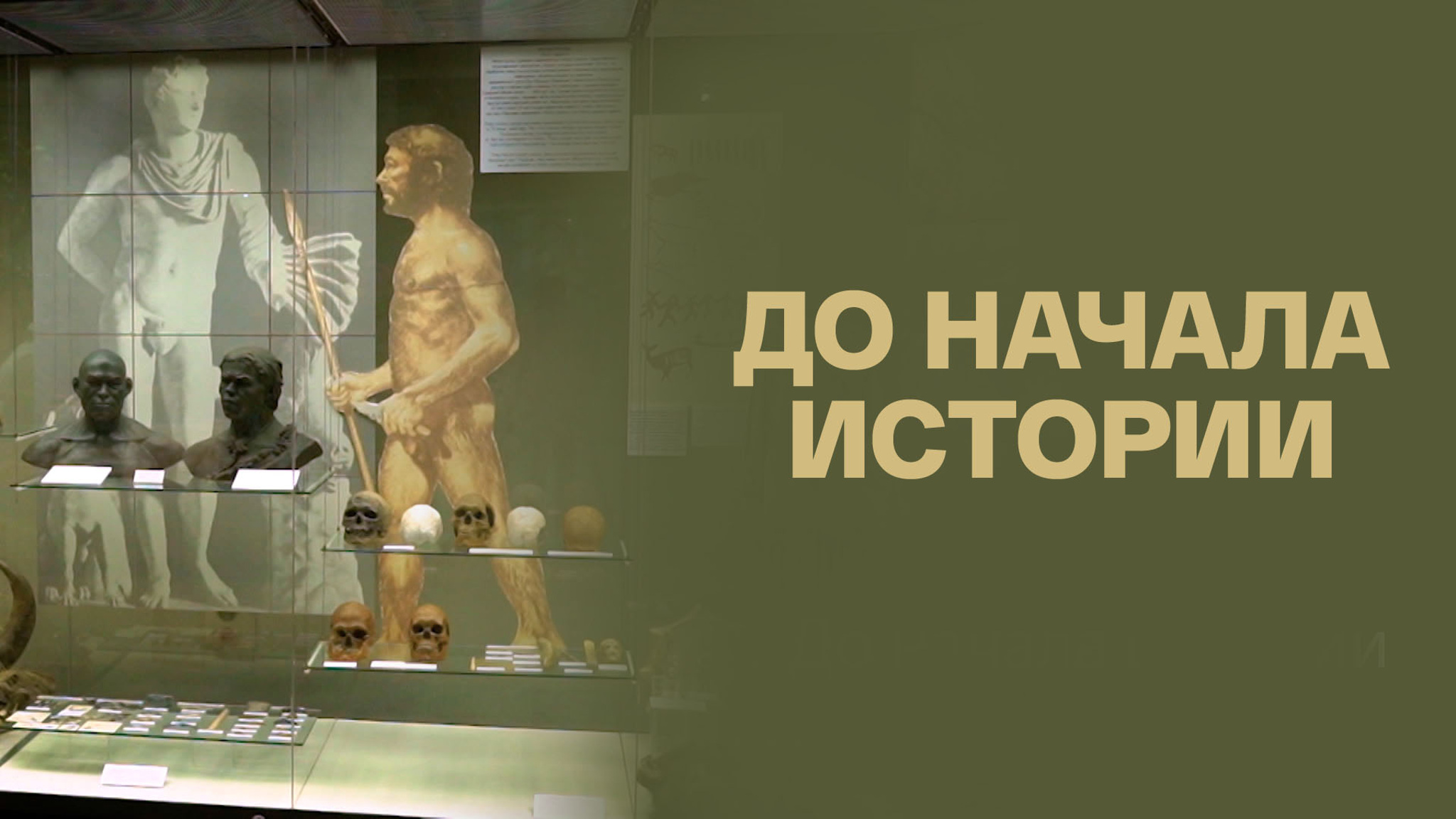 До начала истории