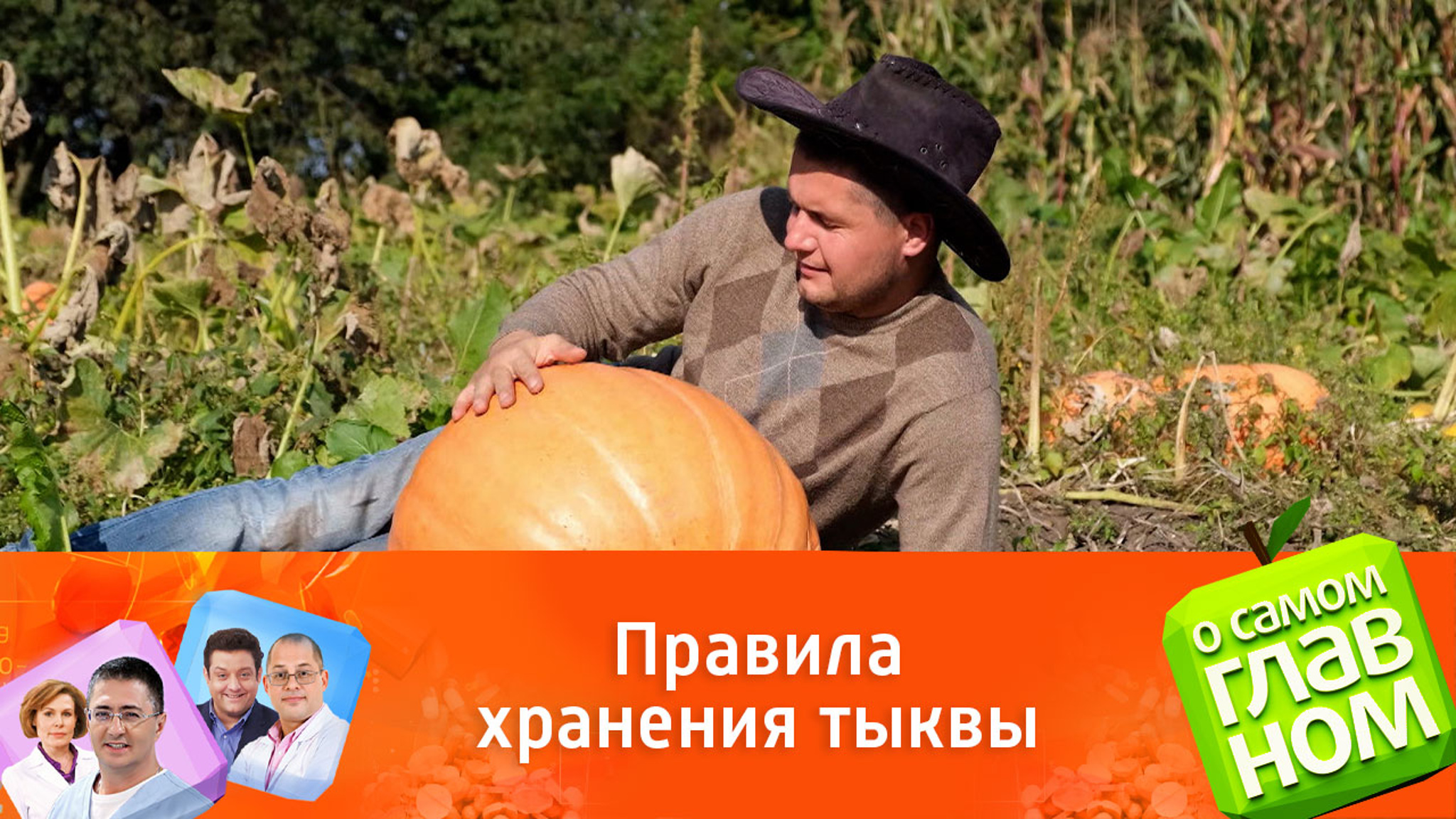 Как сохранить тыкву с максимальной пользой до зимы