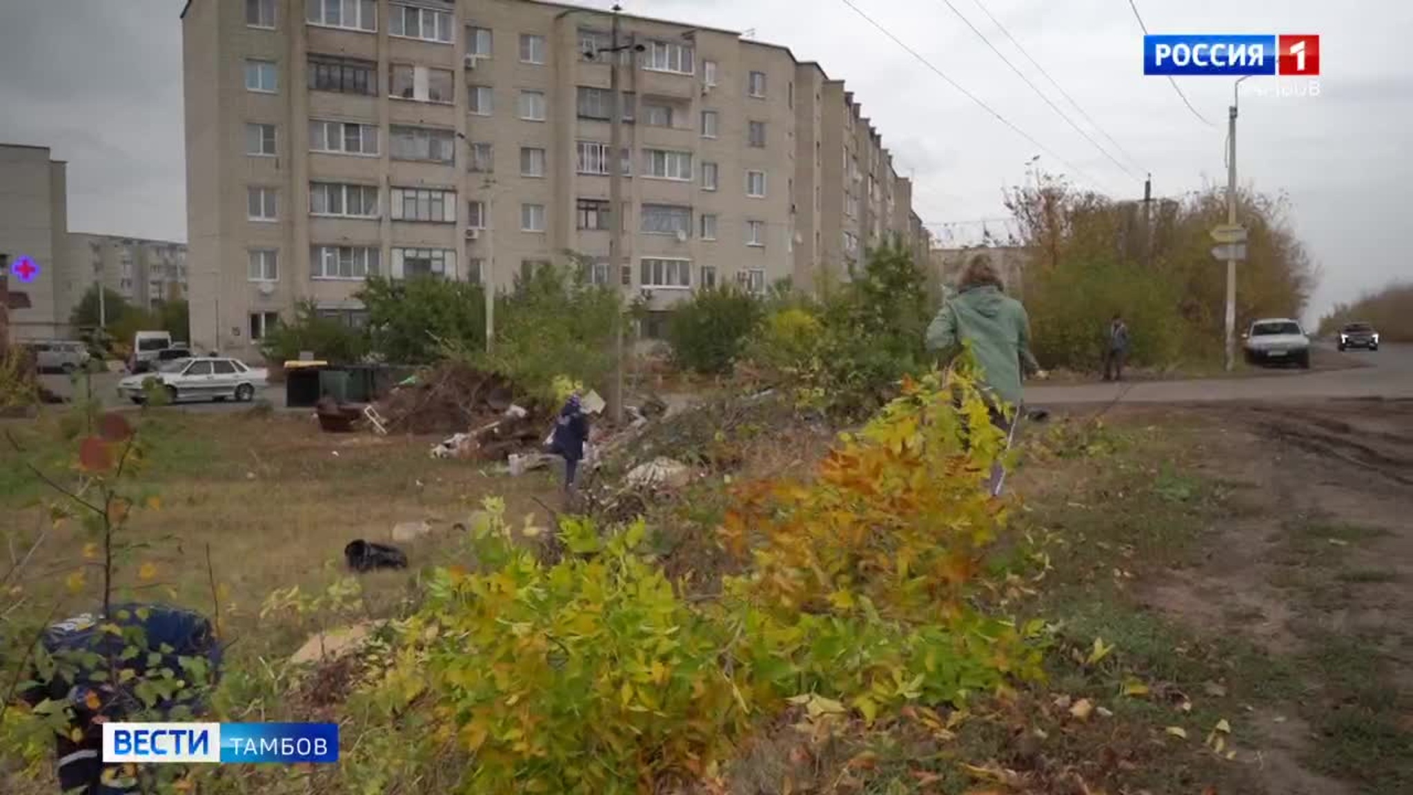 В Тамбове провели День чистоты