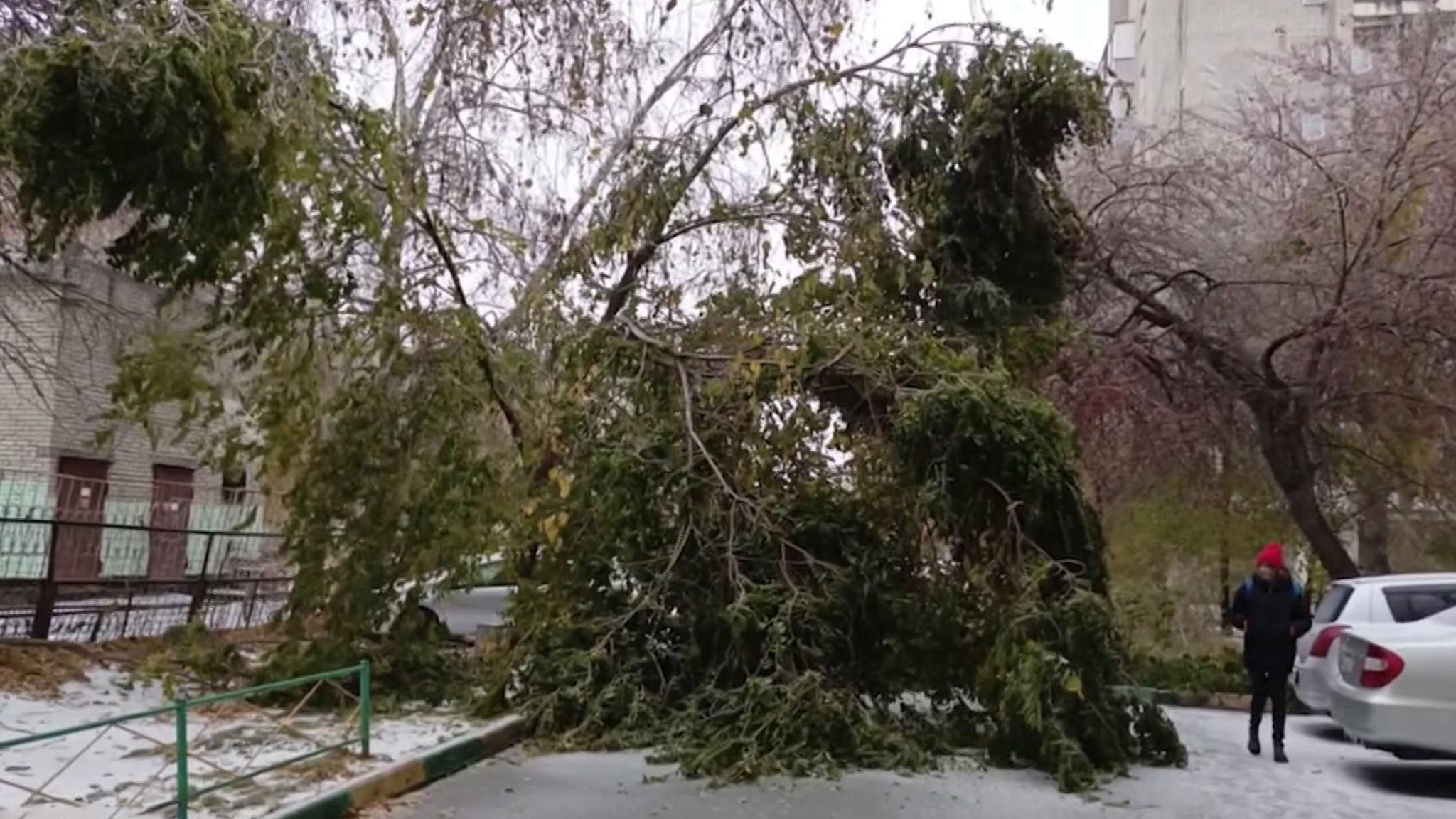 Барнаул накрыл ледяной дождь, а в Кемерове резко выросли сугробы