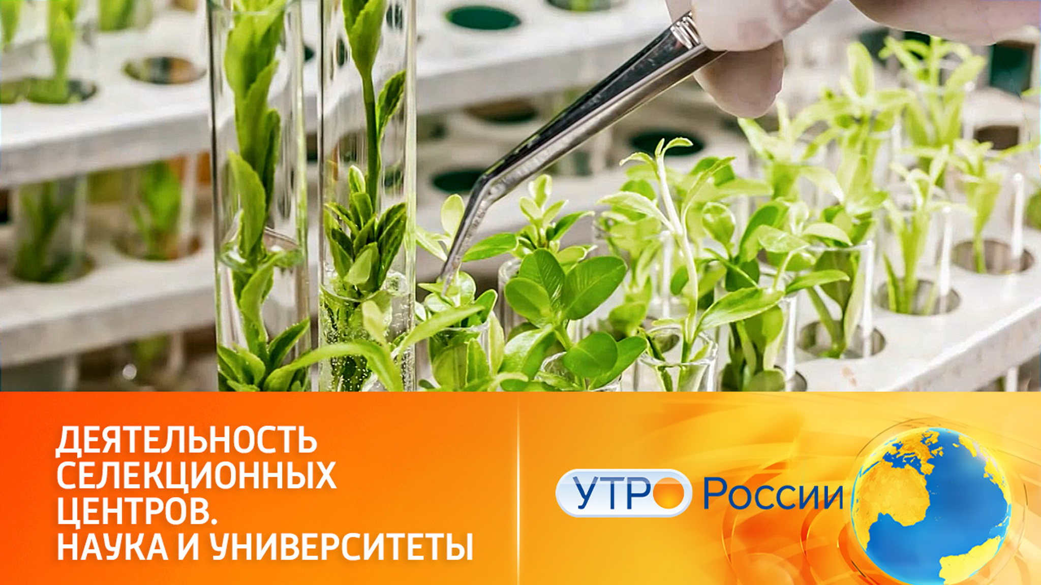 Биореакторы помогут росту растений, а бактерии повысят урожайность