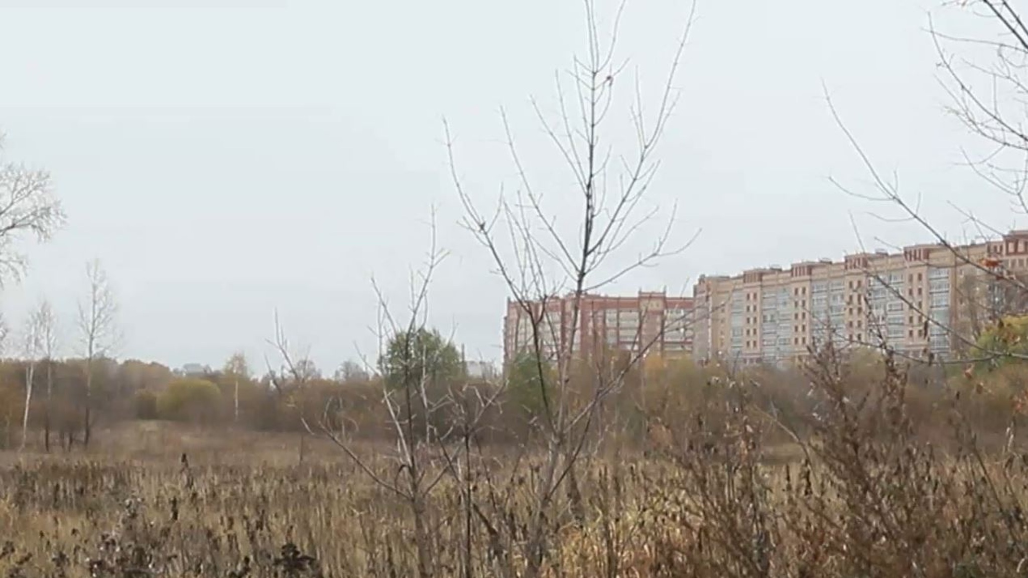 Проект строительства в районе Дубовой рощи рассмотрели на общественных обсуждениях в Йошкар-Оле