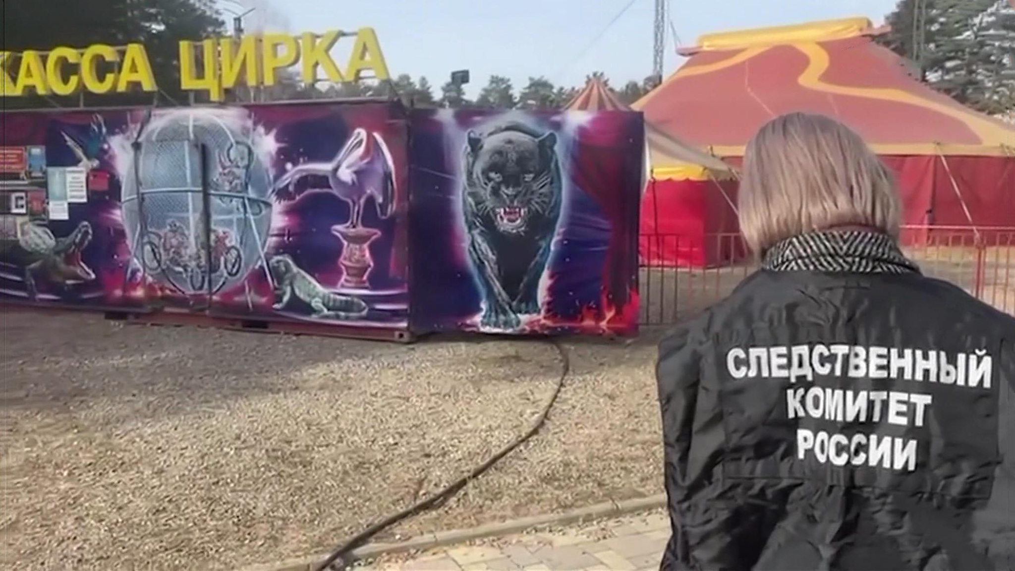 По факту нападения пантеры на ребенка возбуждено уголовное дело