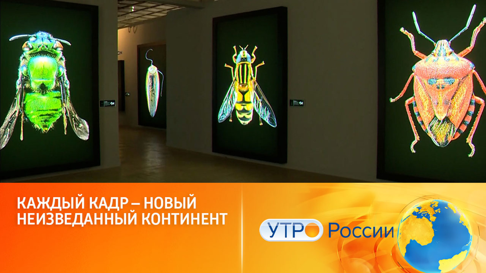 Международный фестиваль "Золотая черепаха" открыт в Третьяковке