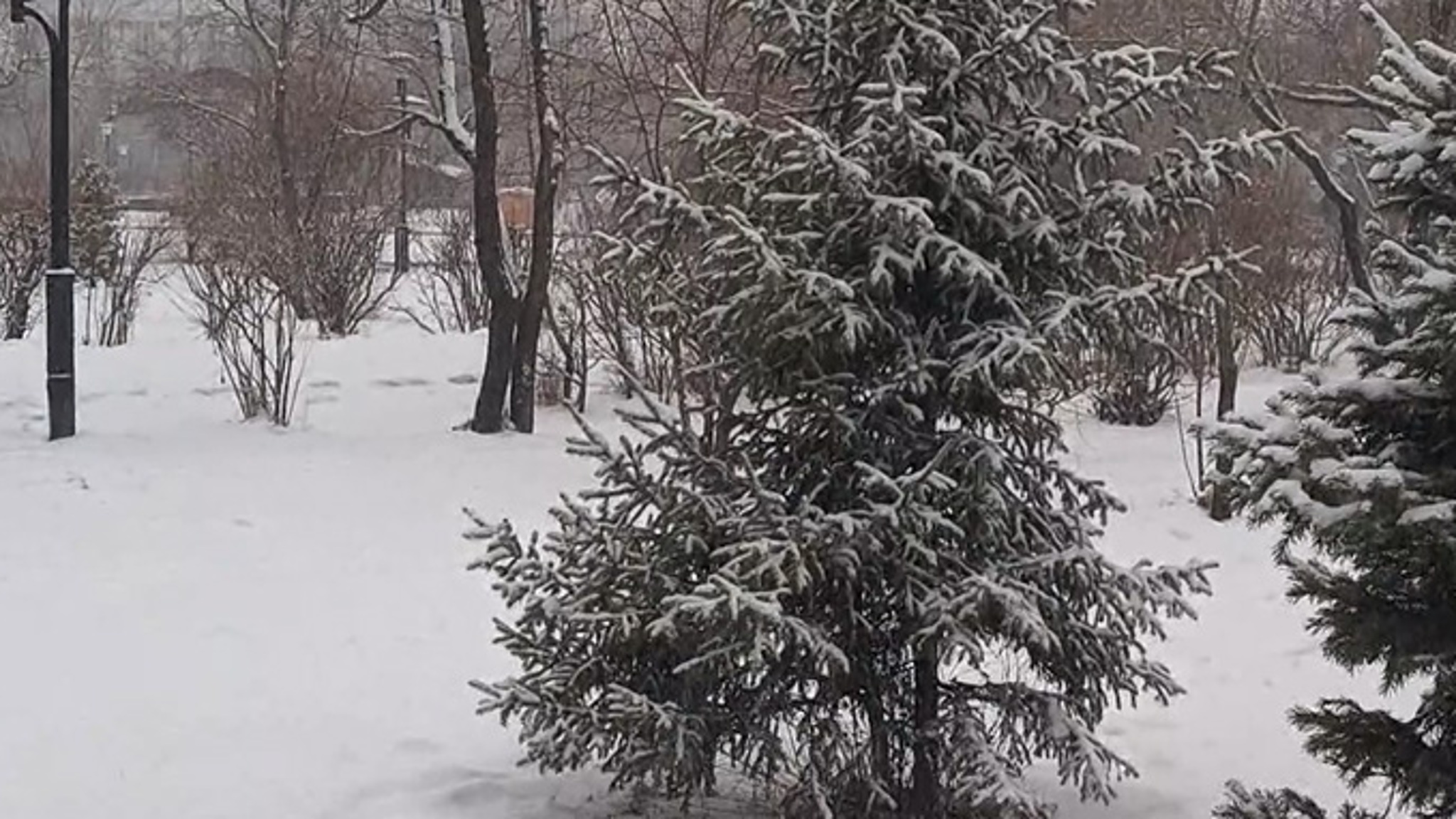 Снегопад снова обрушился на Забайкалье