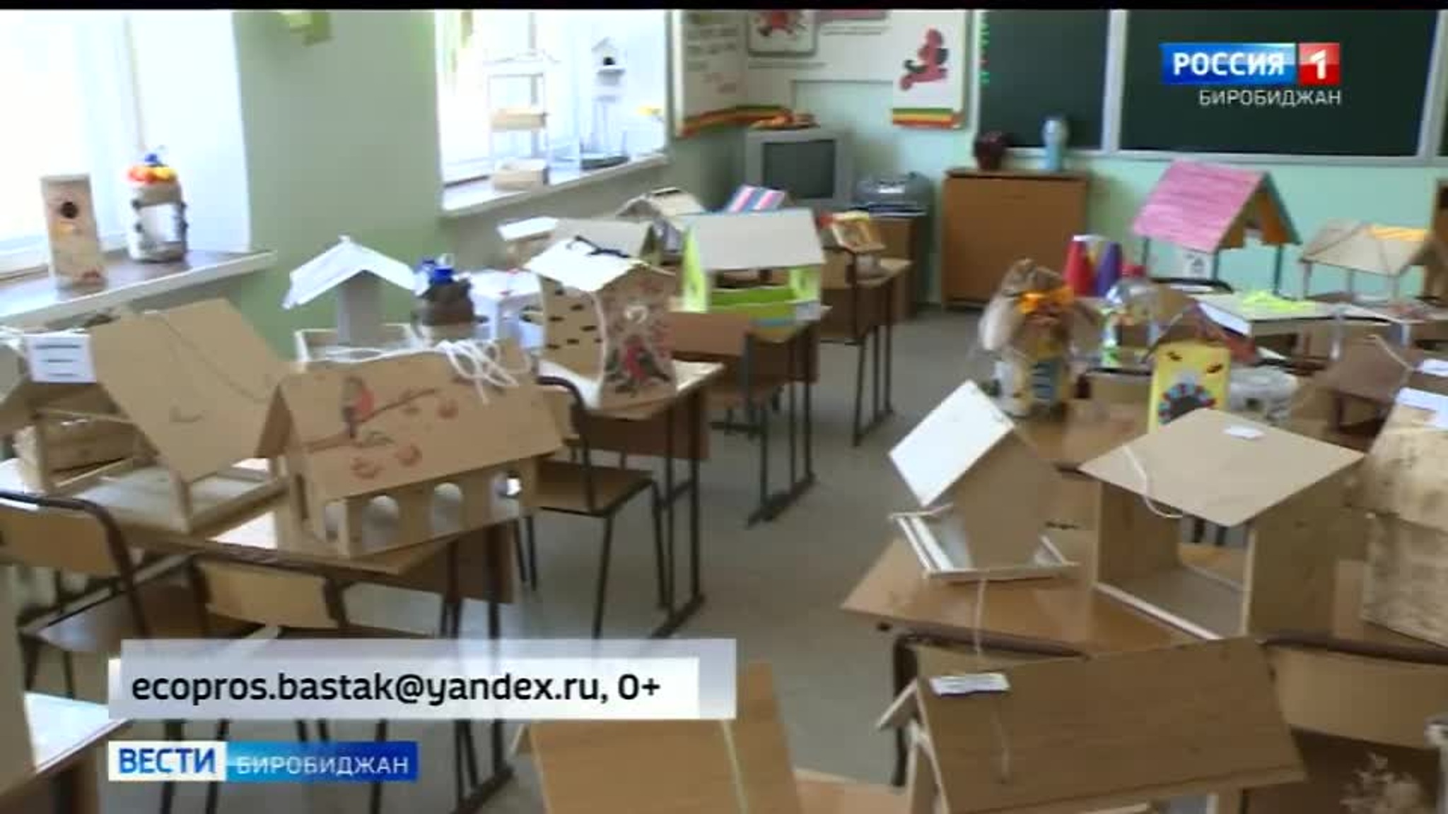 В ЕАО начали акцию "Покормите птиц зимой"