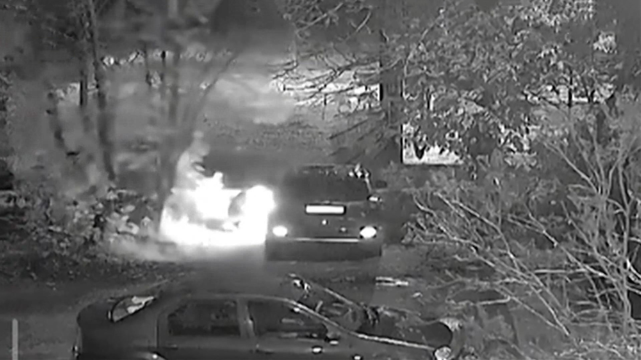 Во главе организованной группы стоял депутат