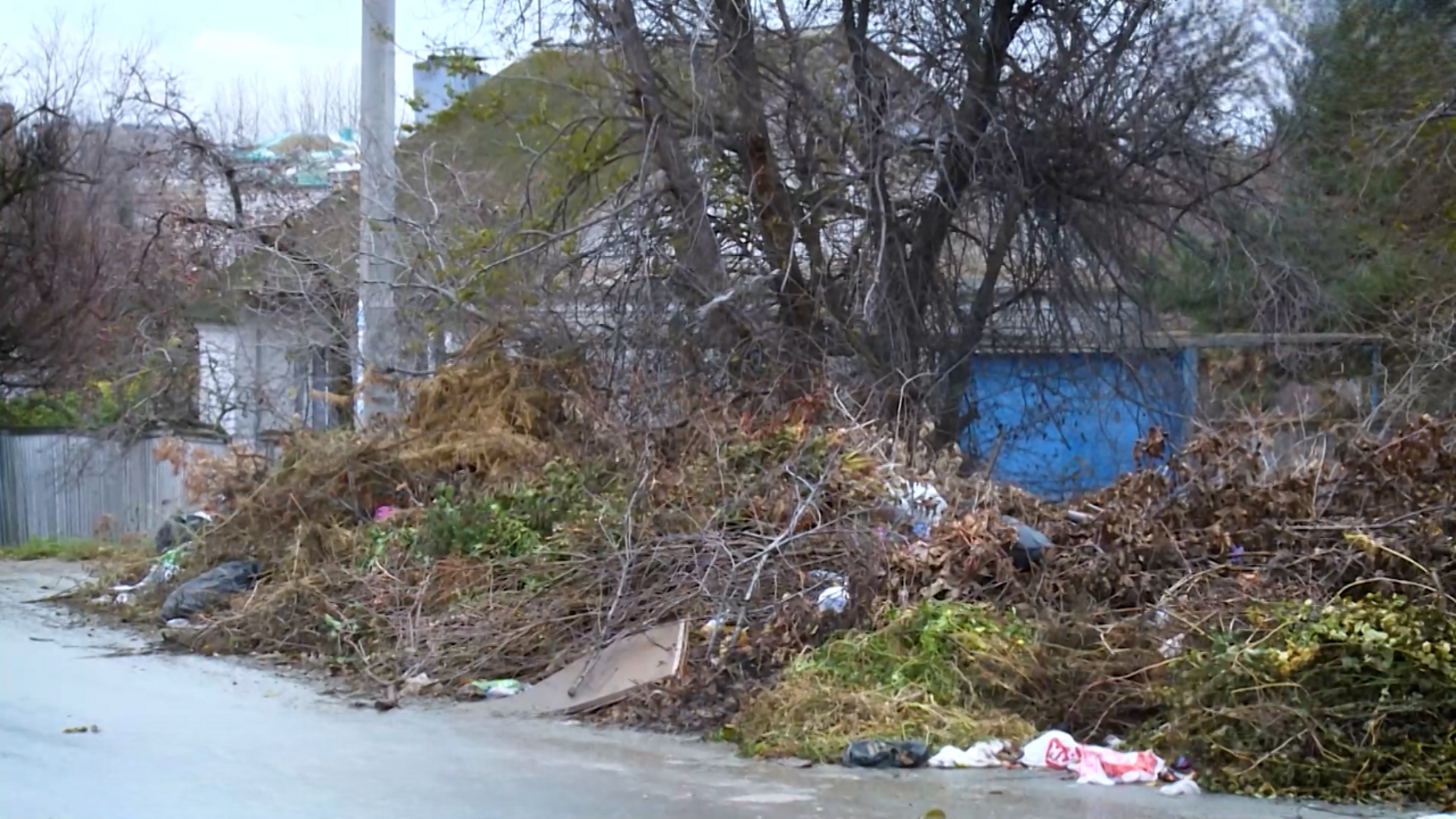 Отходы, покрышки, останки животных: жители Волгограда жалуются на огромную свалку