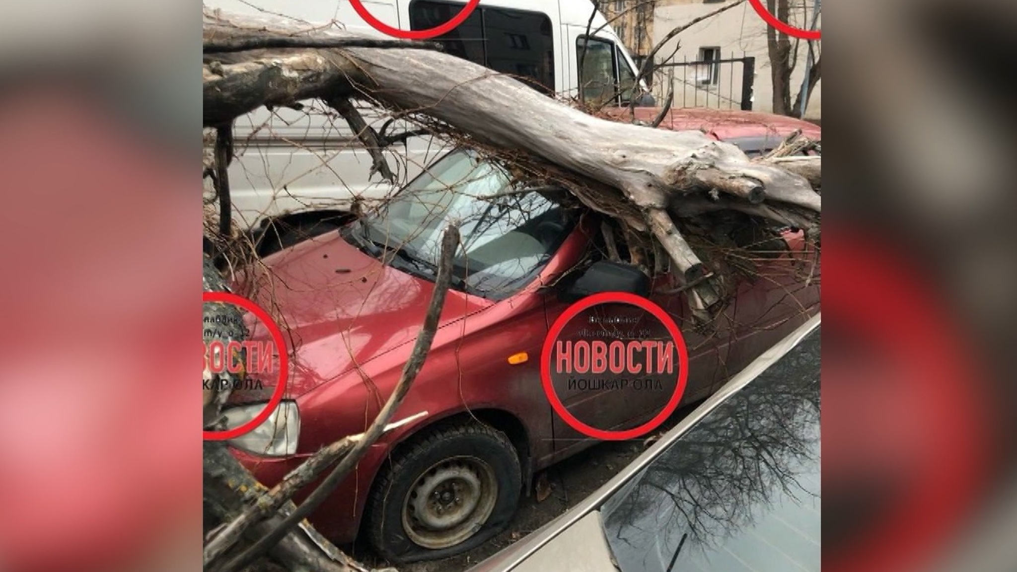 Обзор соцсетей: разрушительный ветер, скандал из-за курения в маршрутке, стая собак, горе-диггеры и петарды в Марий Эл