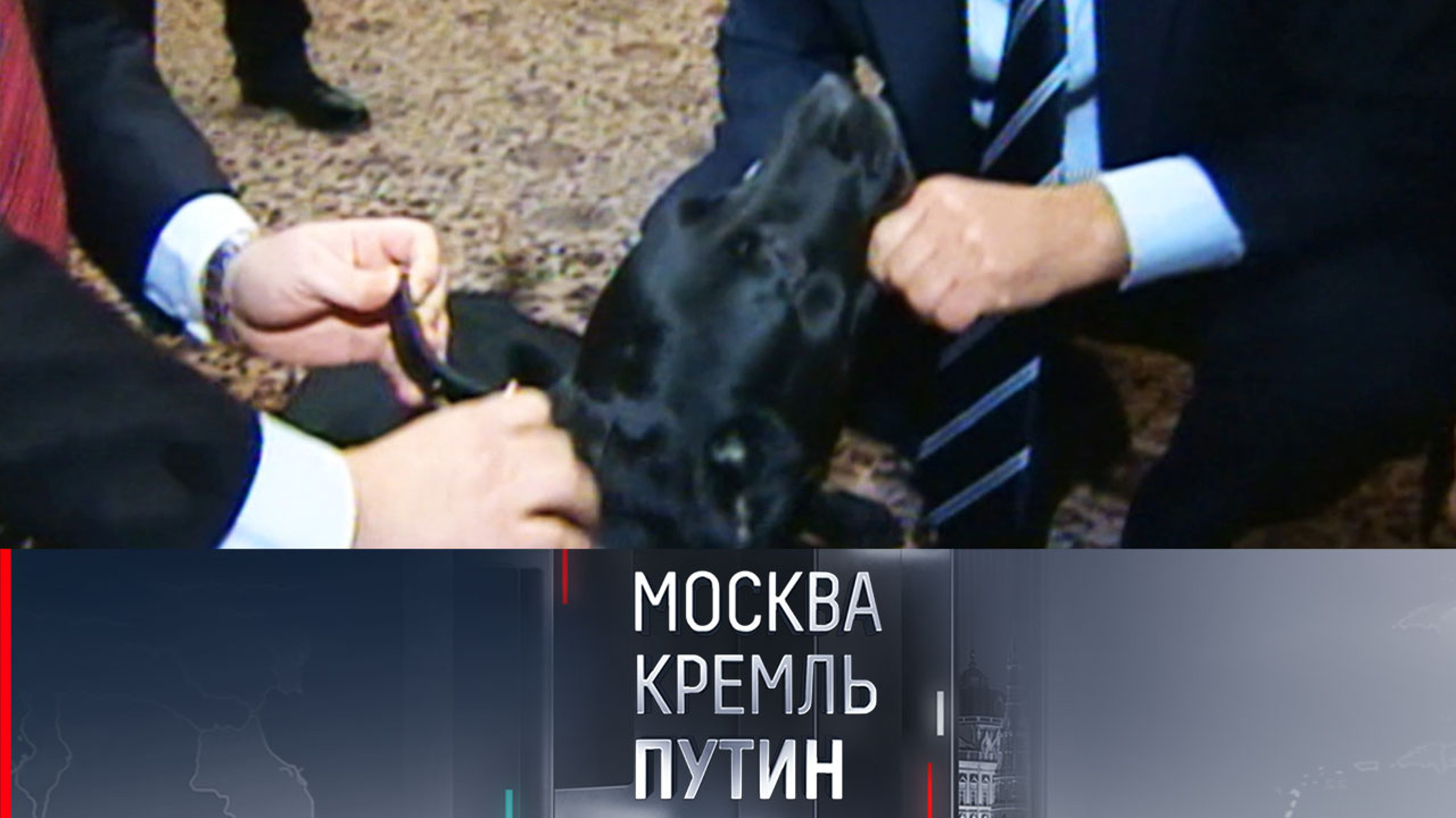 Что делала собака Путина во время тайных переговоров мировых лидеров