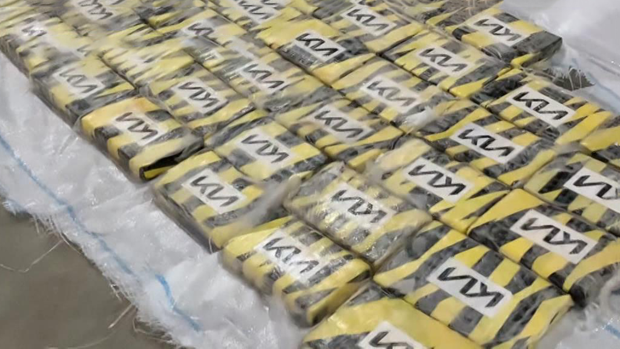 В Подмосковье полиция сорвала планы колумбийского наркокартеля