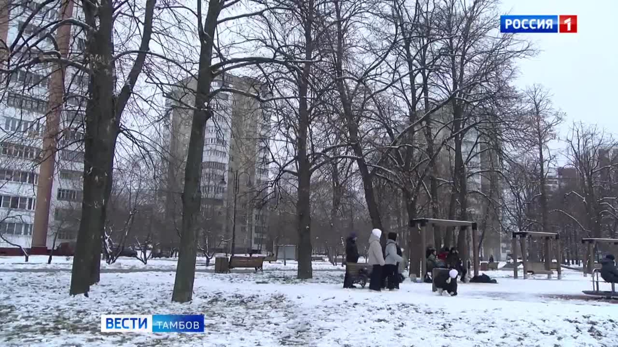На дорогах гололедица: водителей просят быть бдительными
