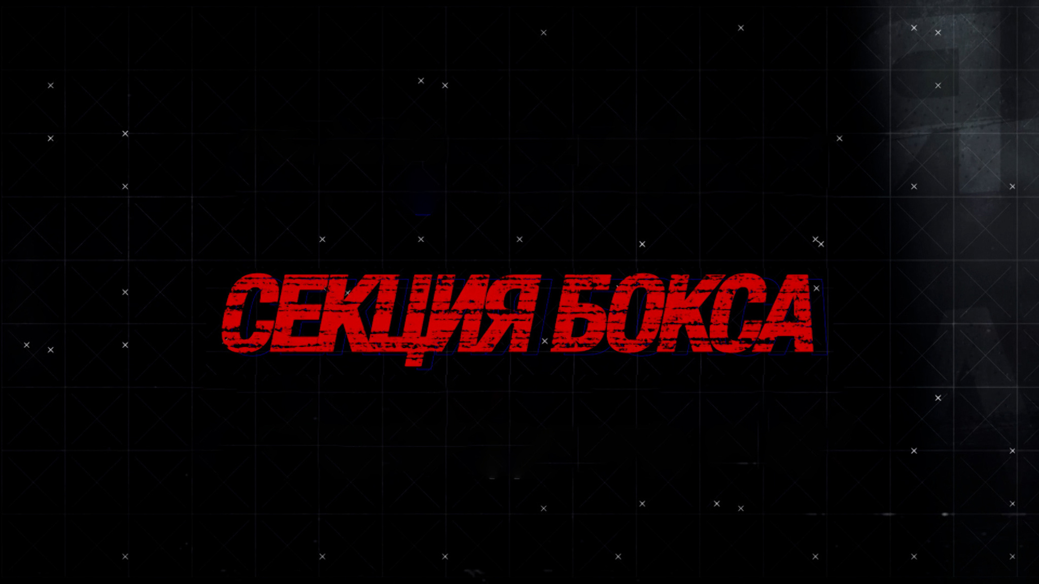 Секция бокса
