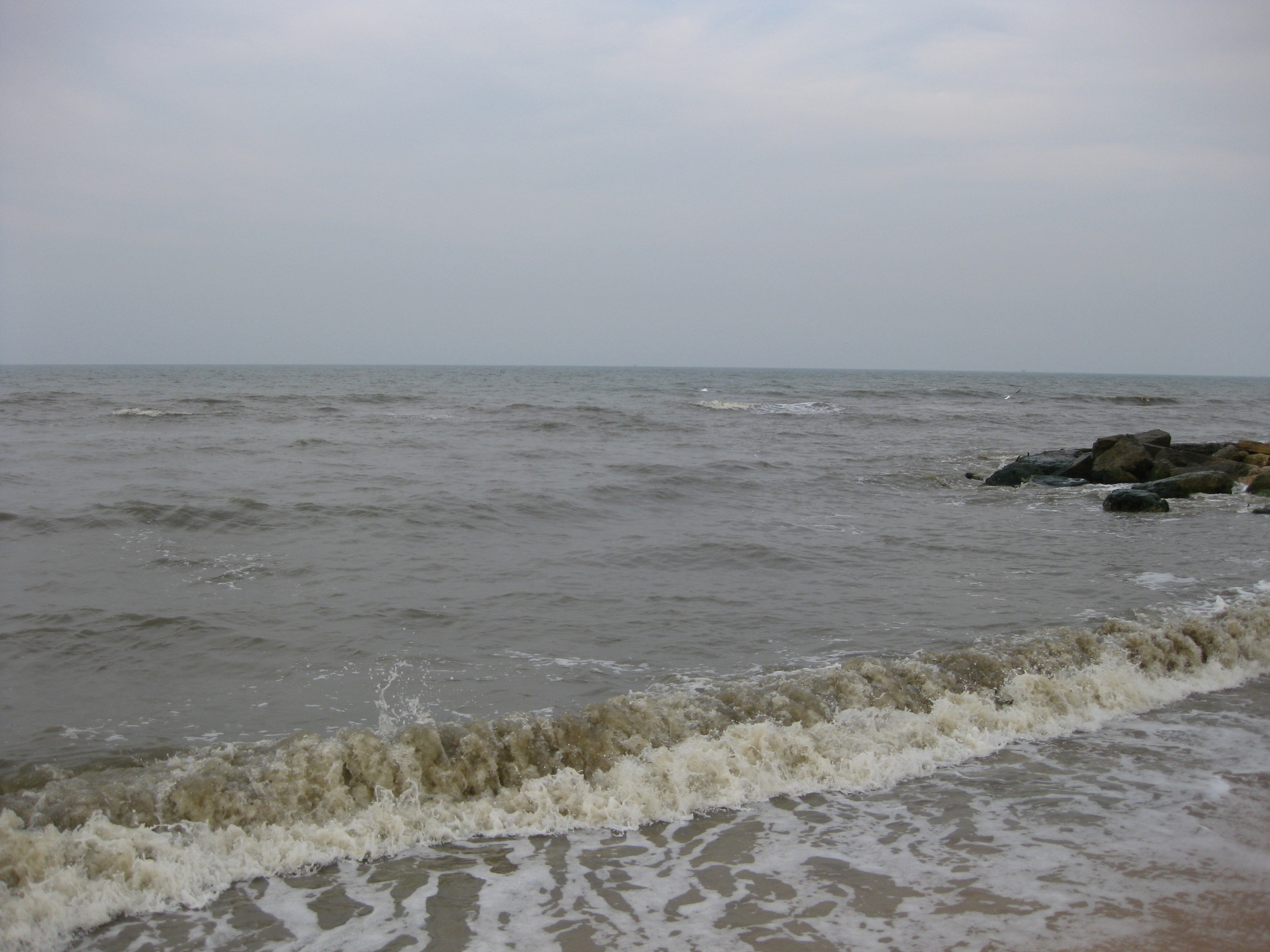 В воде не тонут, в огне не горят, не замерзают, выживают и размножаются…