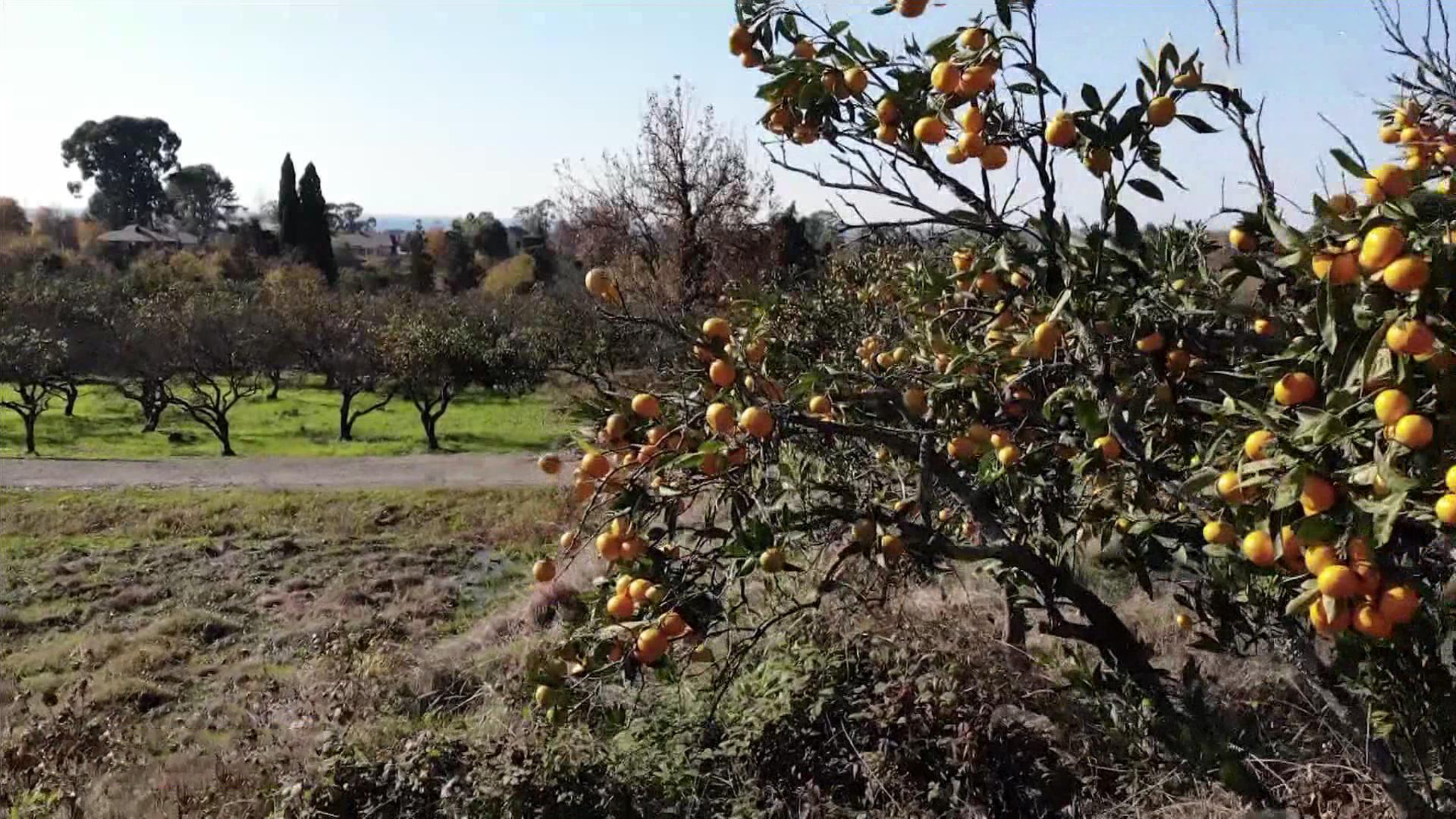 Россияне рады приехать в Абхазию даже не в сезон